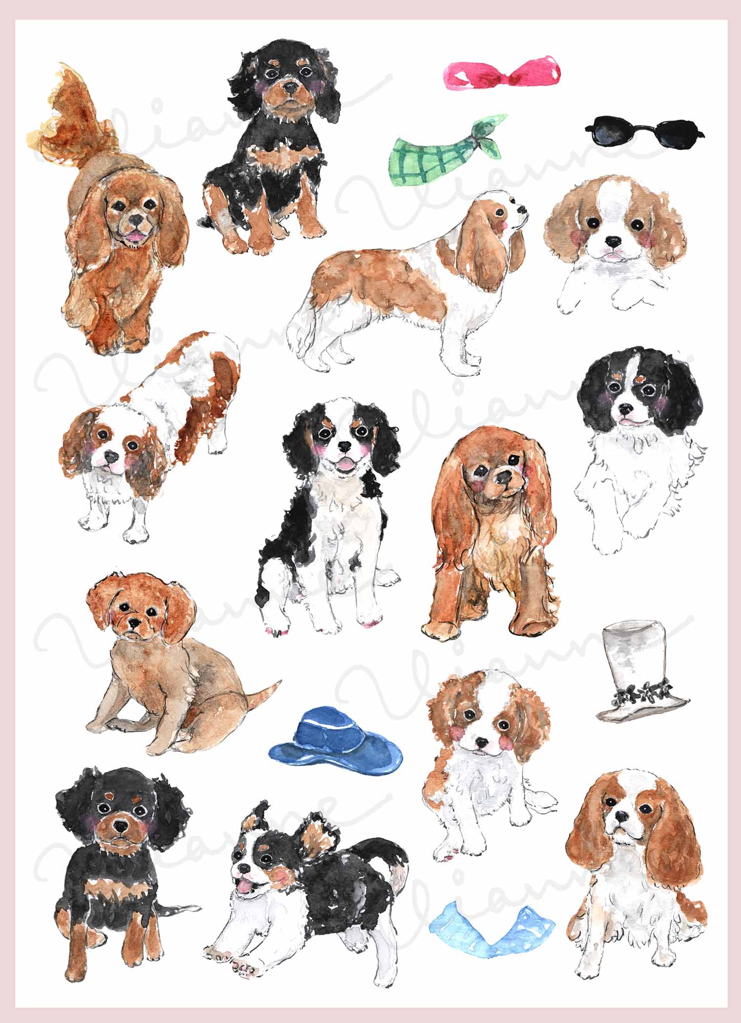 Cavalier King Charles Spaniel Digital Clipart
