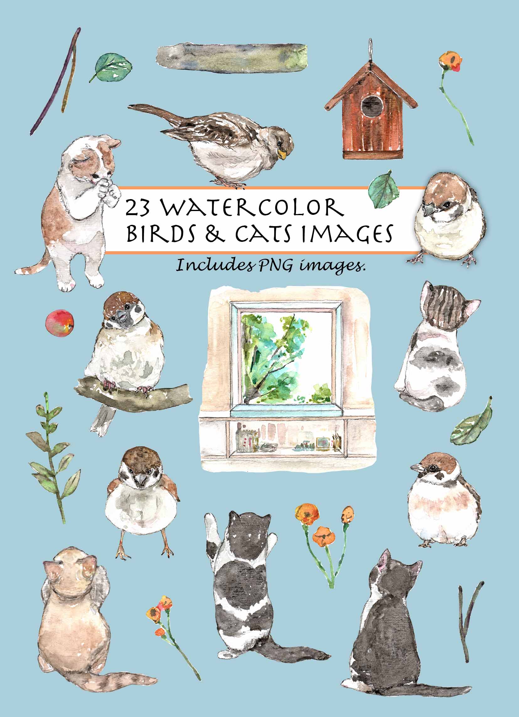 Birds & Cats Digital Clipart