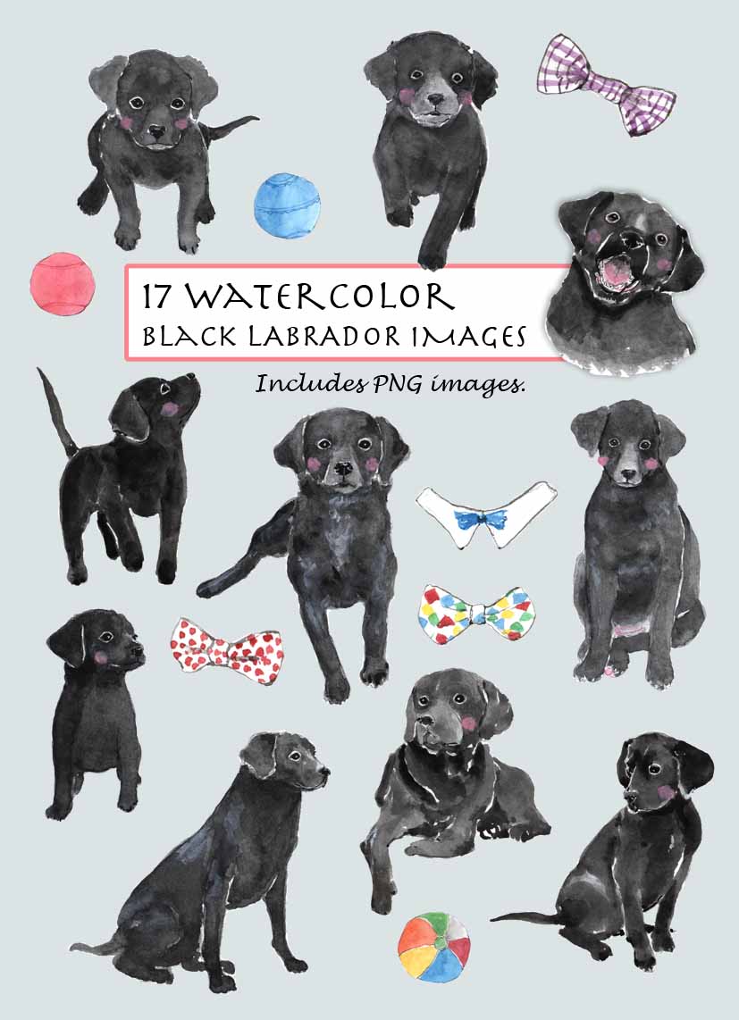 Brown Labrador Digital Clipart