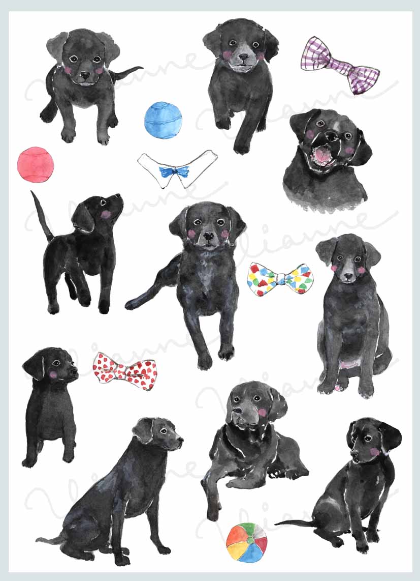 Brown Labrador Digital Clipart