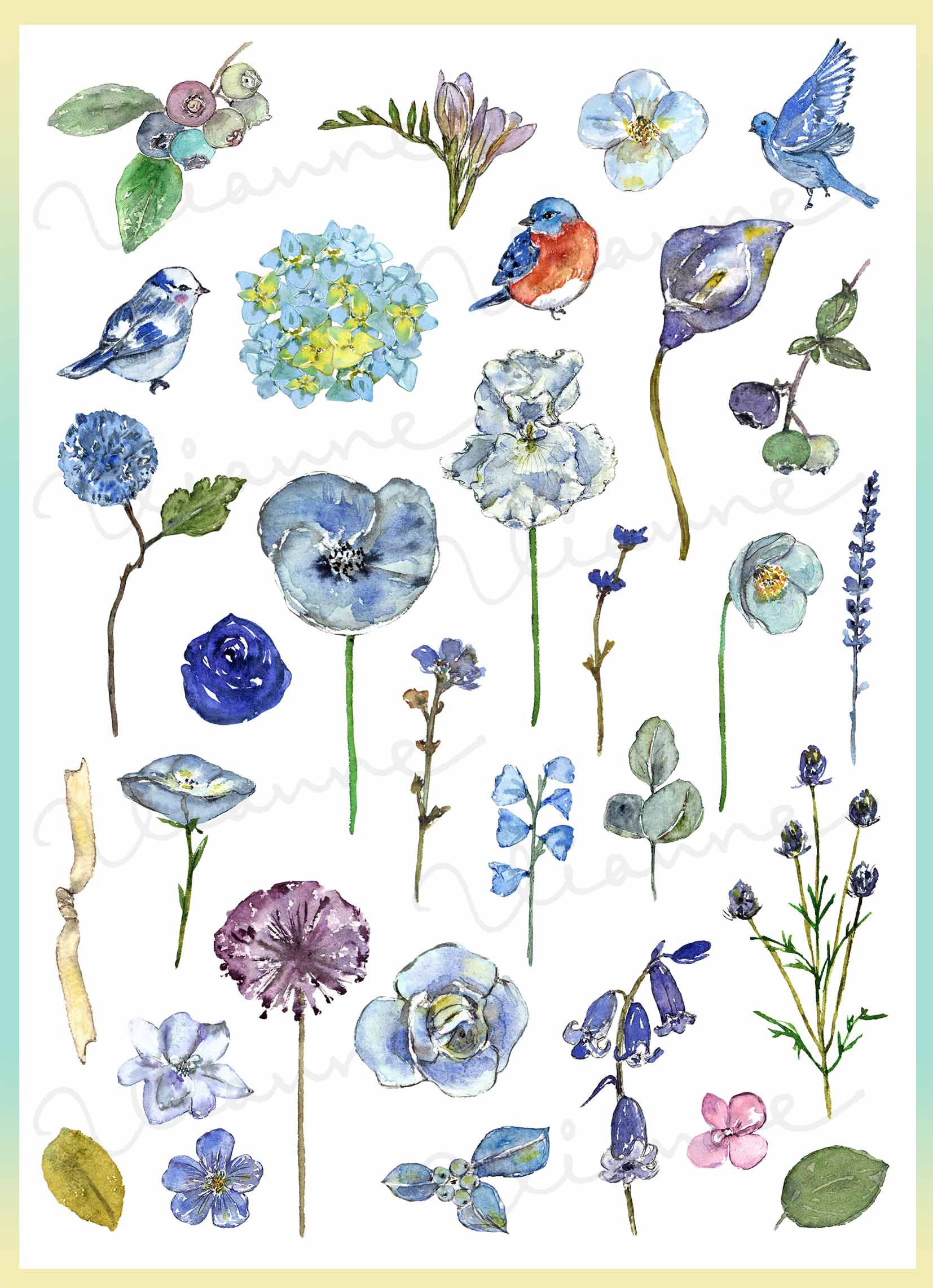 Blue Flora Theme Digital Clipart