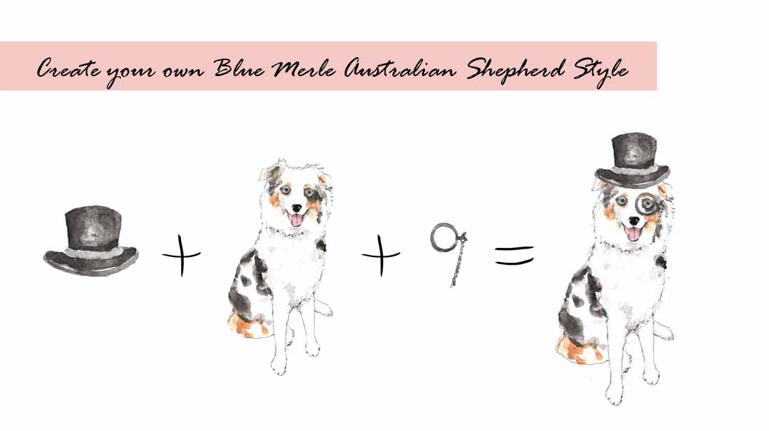 Blue Merle Australian Shepherd Digital Clipart