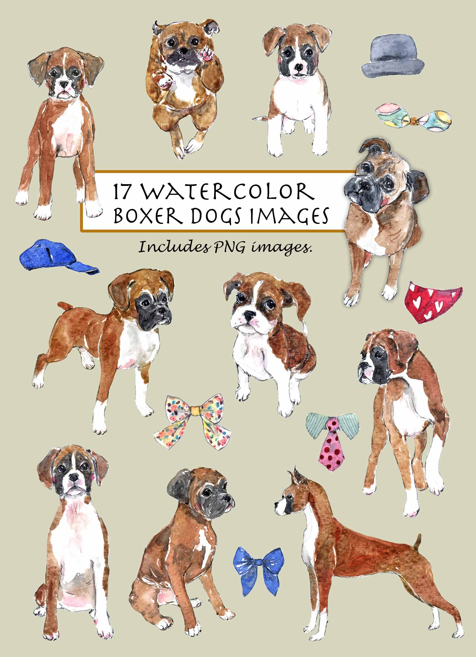 Boxer Digital Clipart