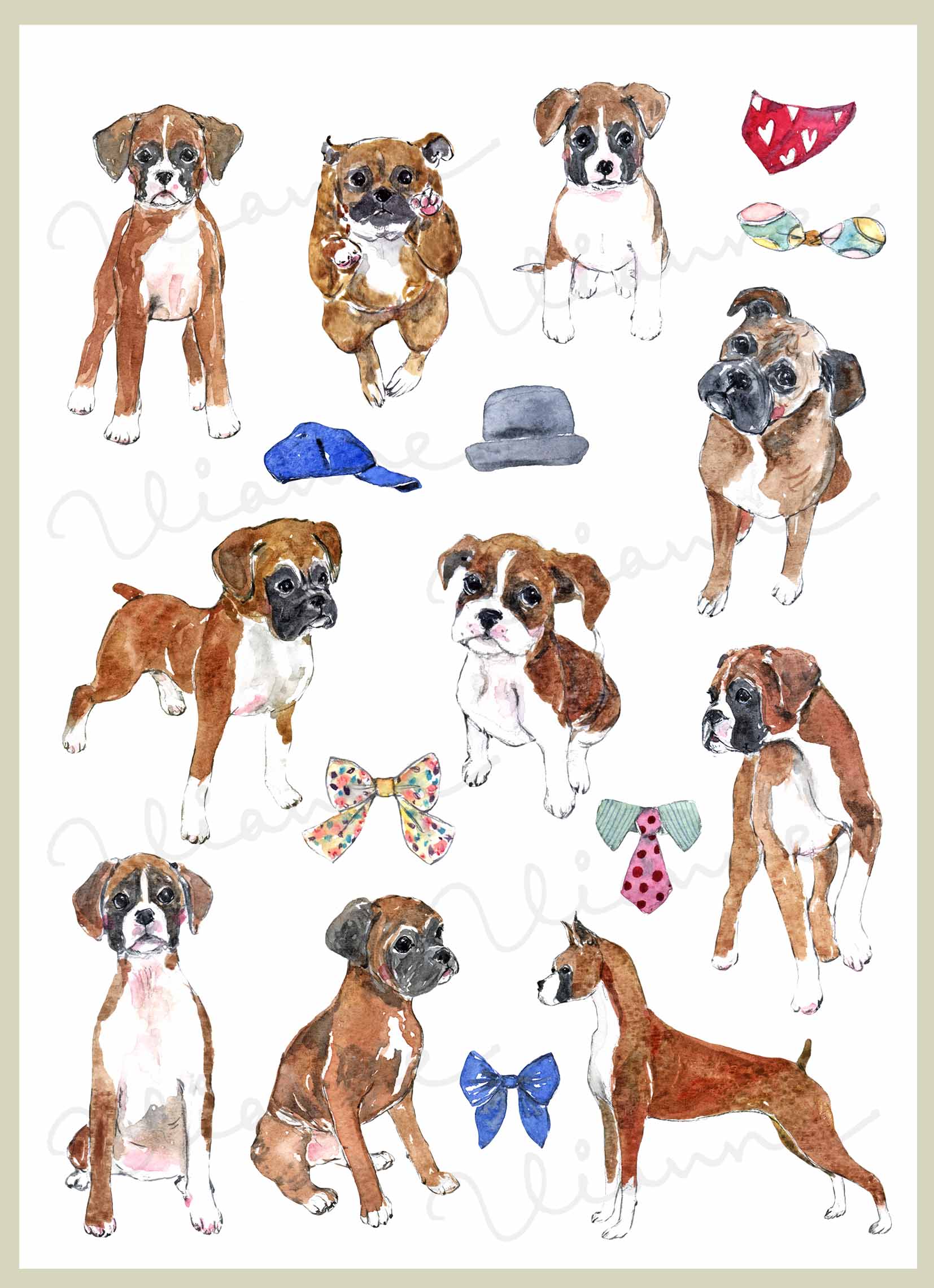 Boxer Digital Clipart