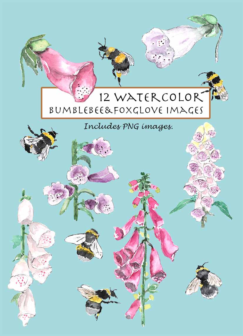 Bumblebees & Foxglove Digital Clipart