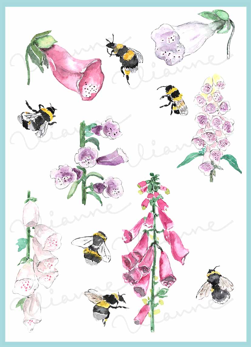 Bumblebees & Foxglove Digital Clipart