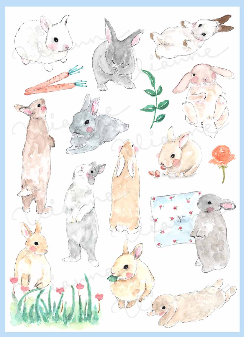 Cute Bunny Digital Clipart