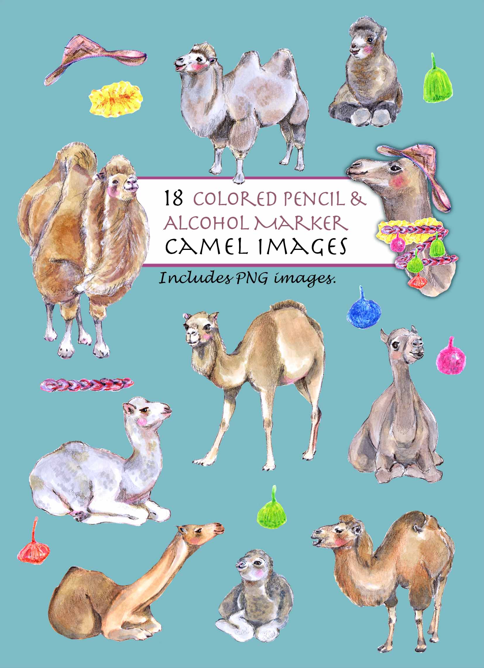 Camels Clipart
