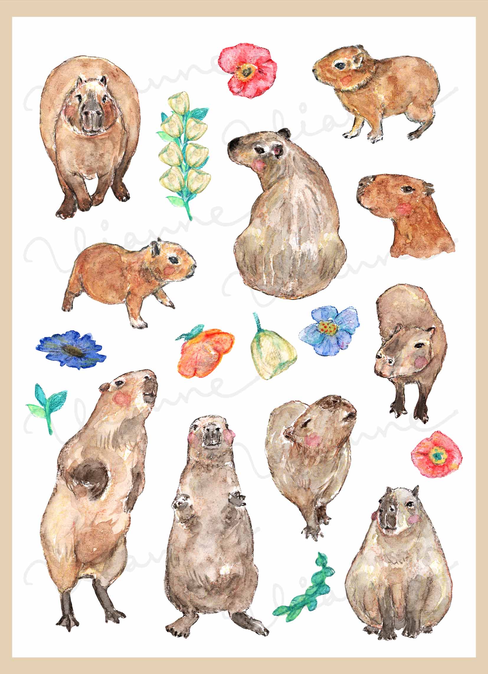 Capybara Clipart
