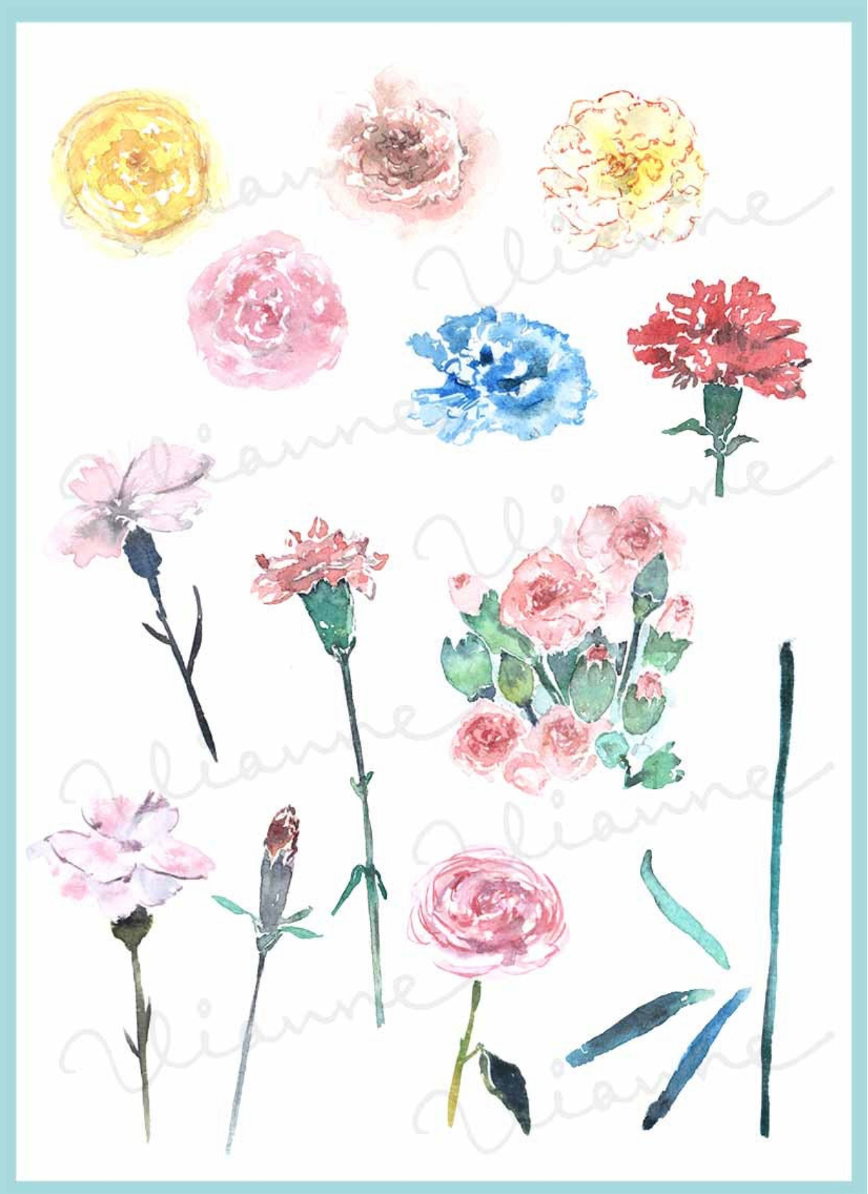 Carnation Clipart