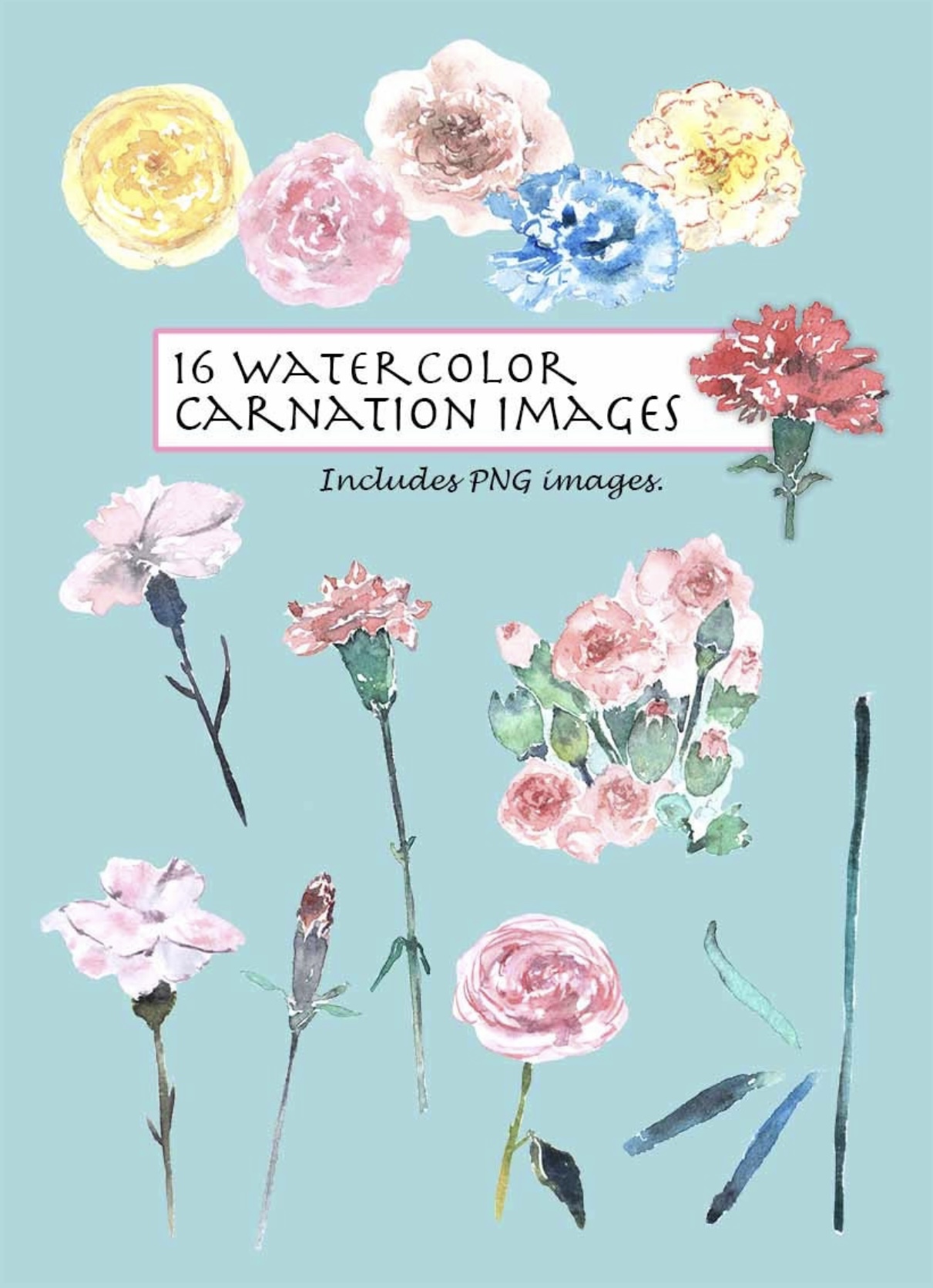 Carnation Clipart