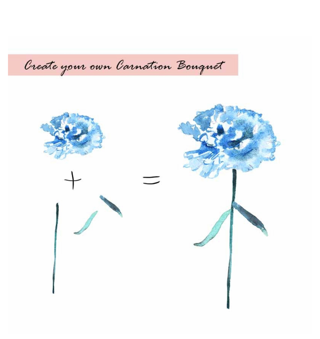 Carnation Clipart