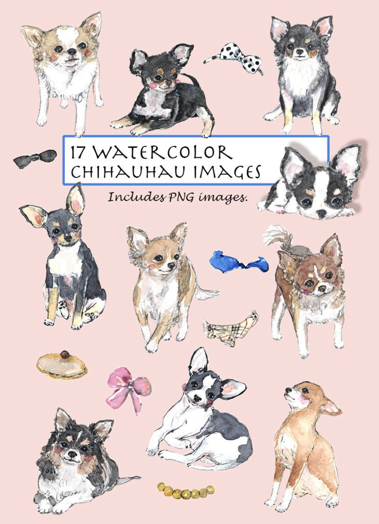 Chihauhau Clipart