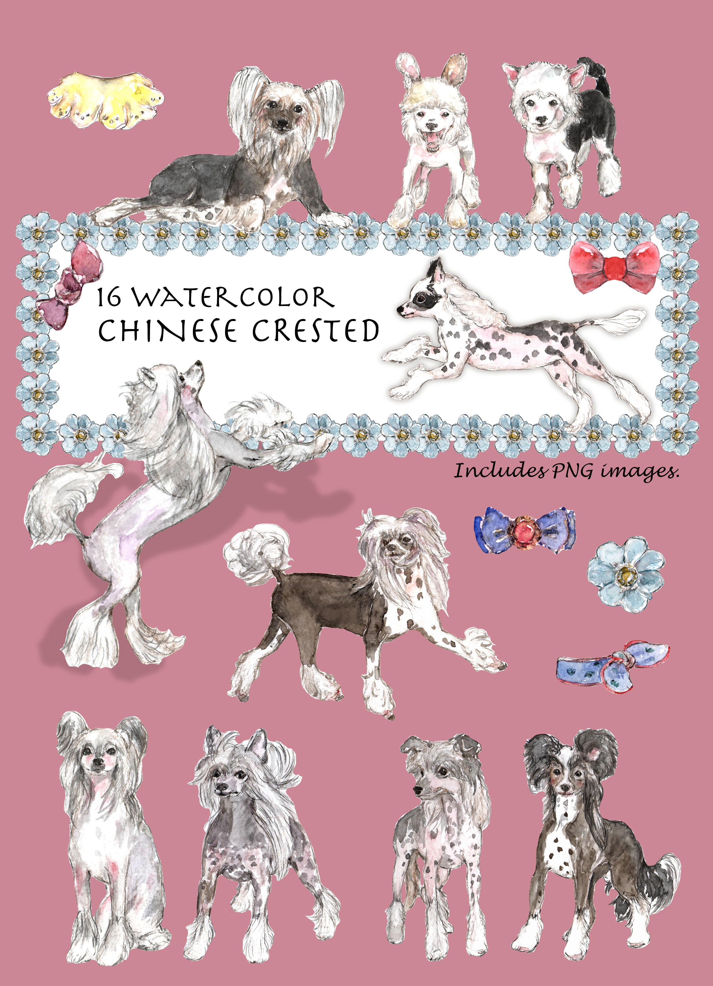 Chinese Crested Clipart
