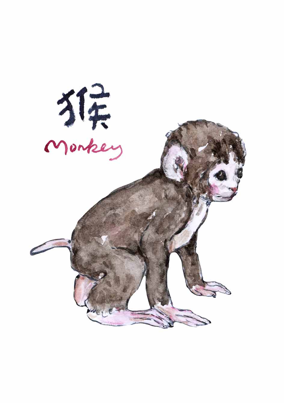 Chinese Zodiac Animals Clipart