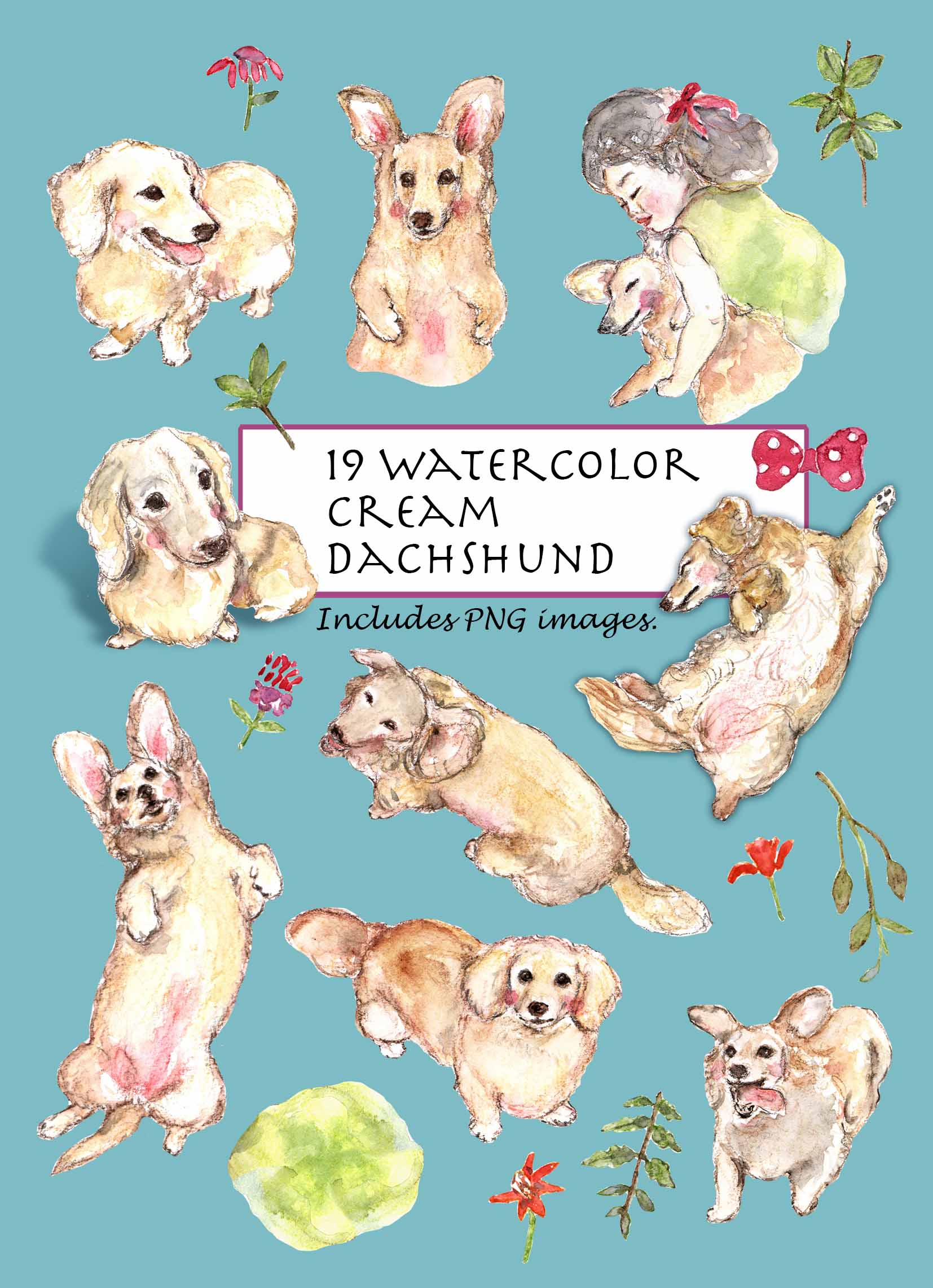 Cream Dachshund Clipart