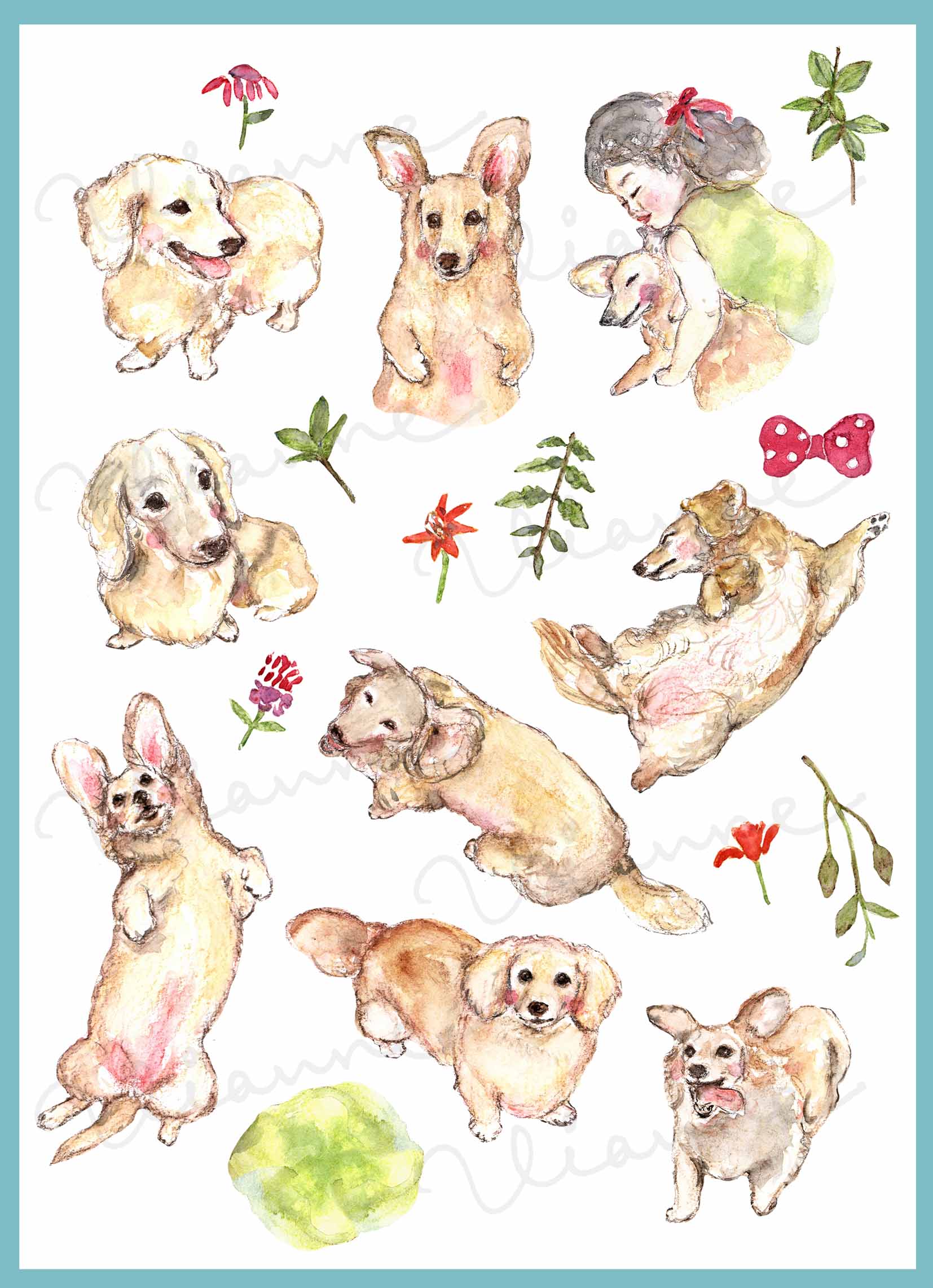 Cream Dachshund Clipart