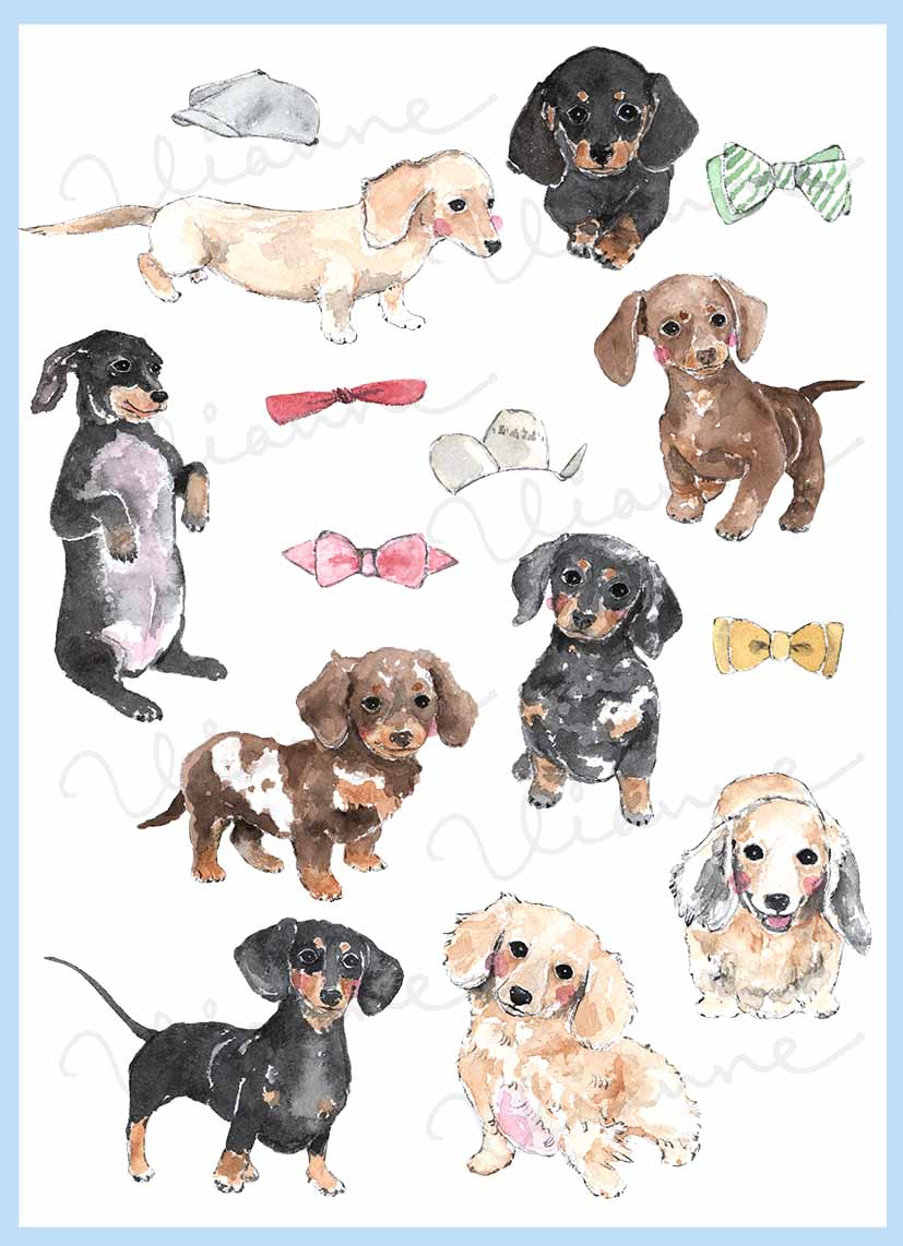 Dachshunds Clipart