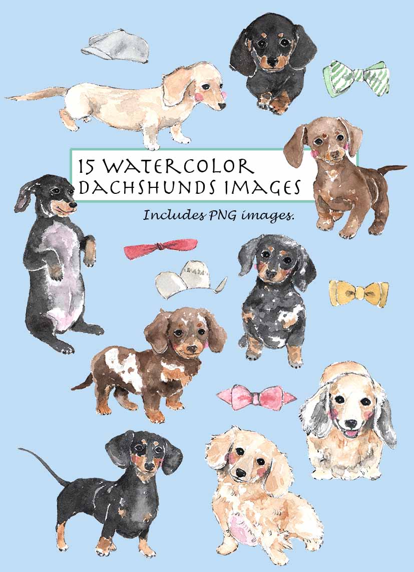 Dachshunds Clipart