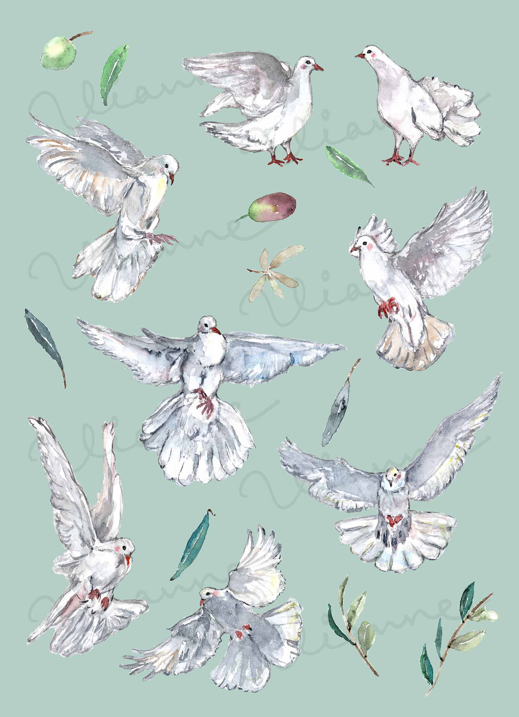 Dove & Olive Leaf Clipart
