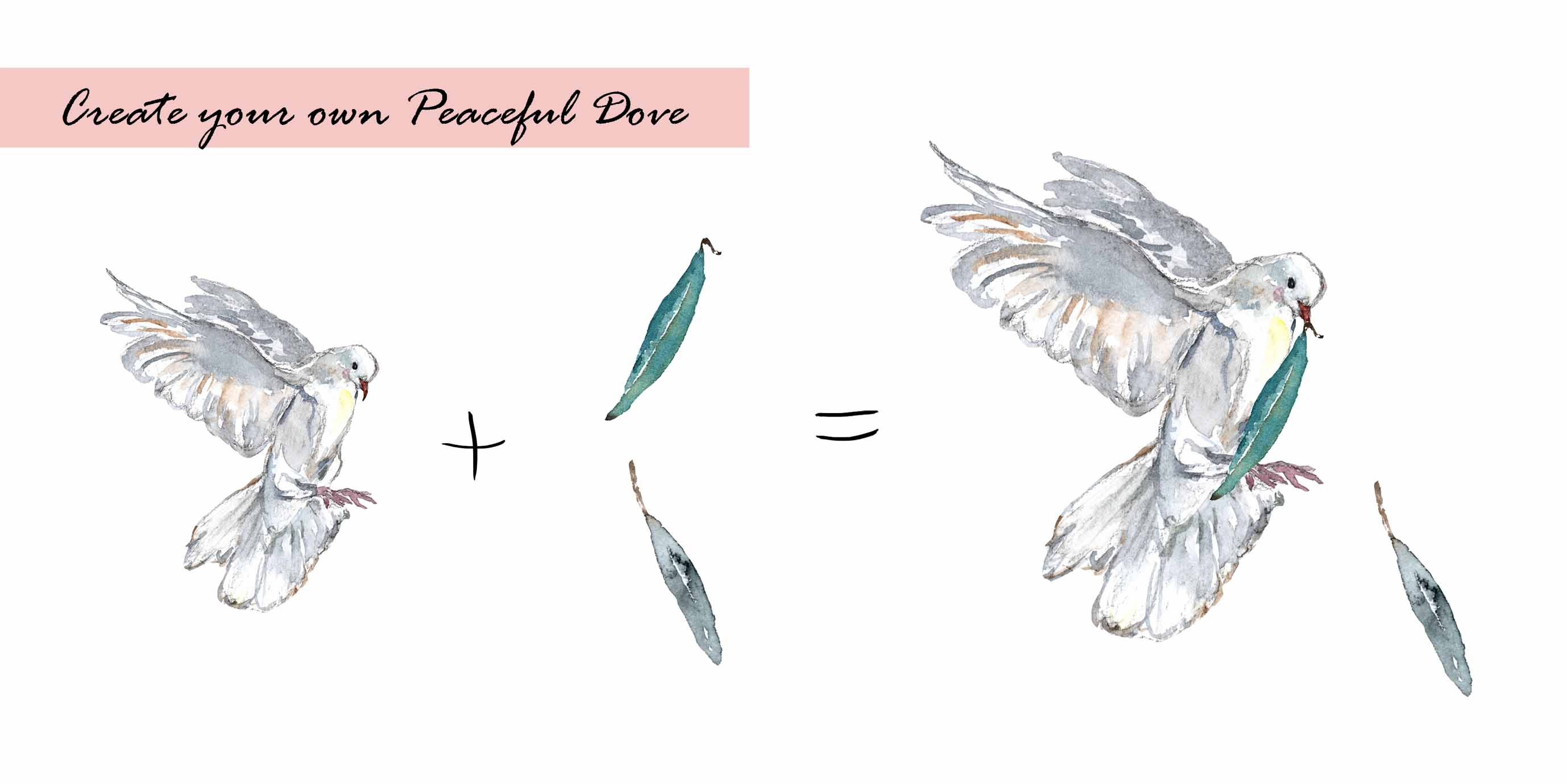 Dove & Olive Leaf Clipart