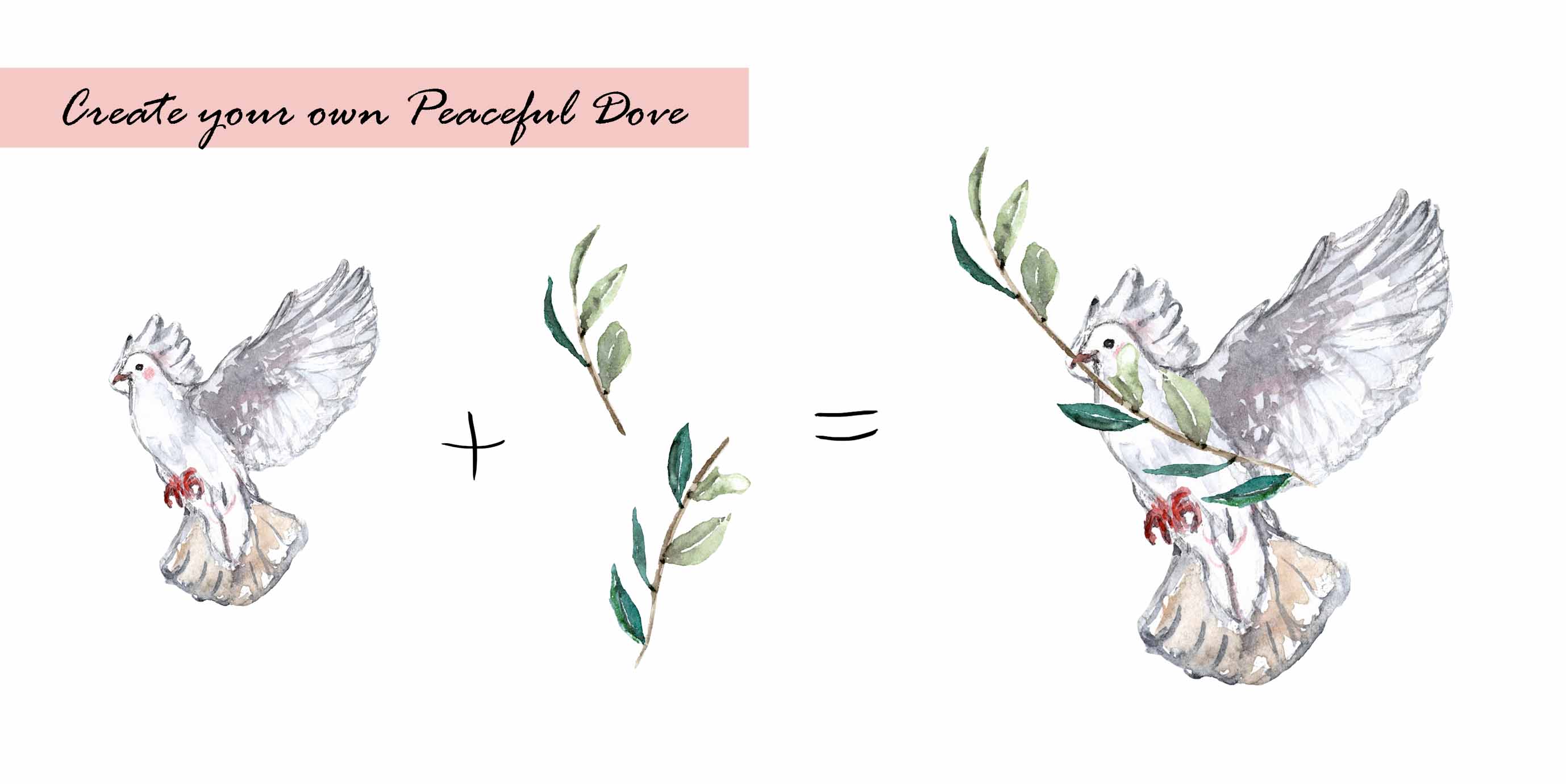 Dove & Olive Leaf Clipart