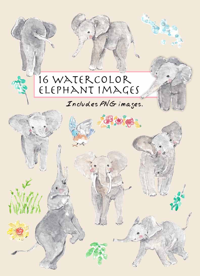 Elephant Clipart