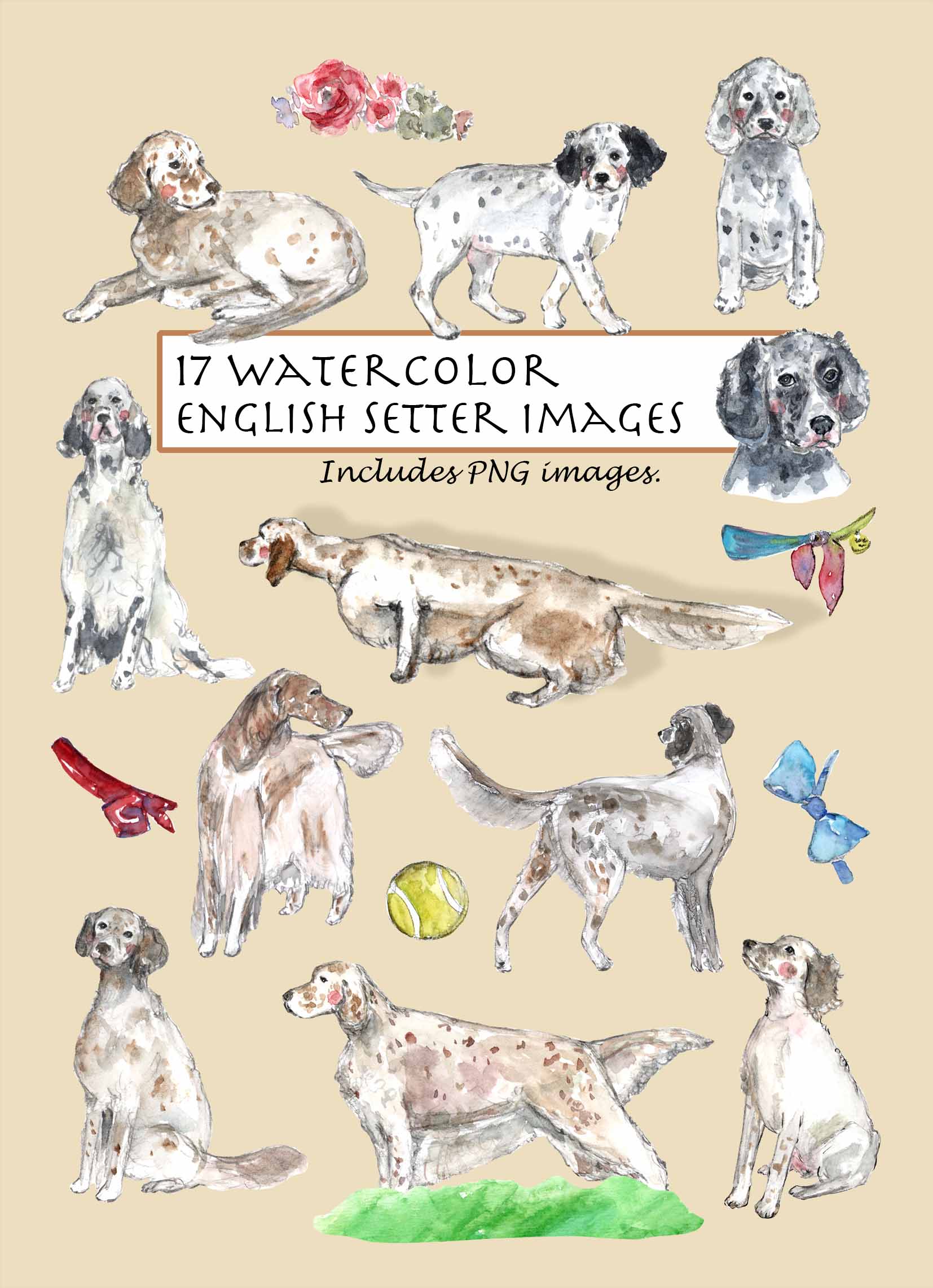 English Setter Clipart