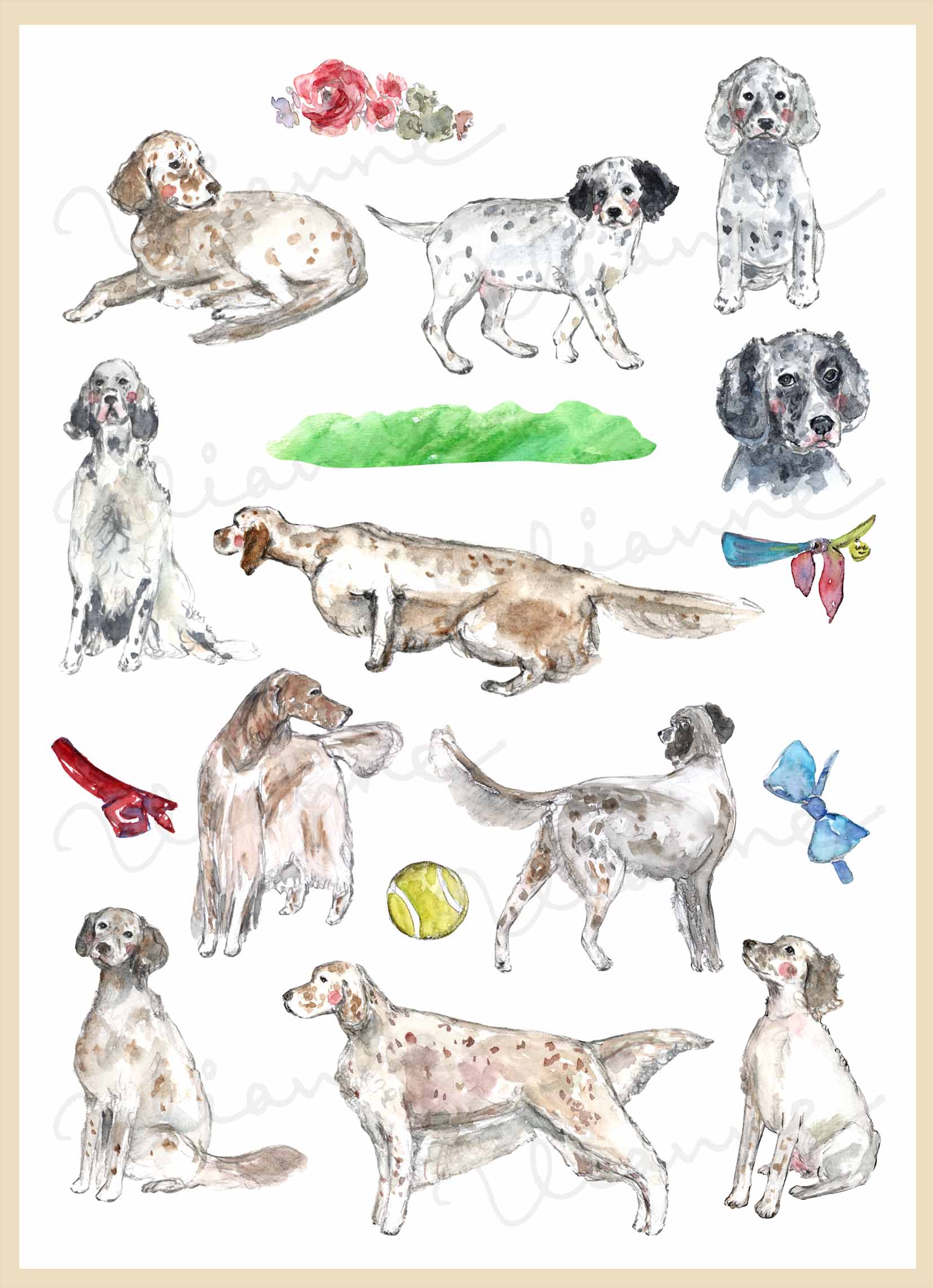 English Setter Clipart