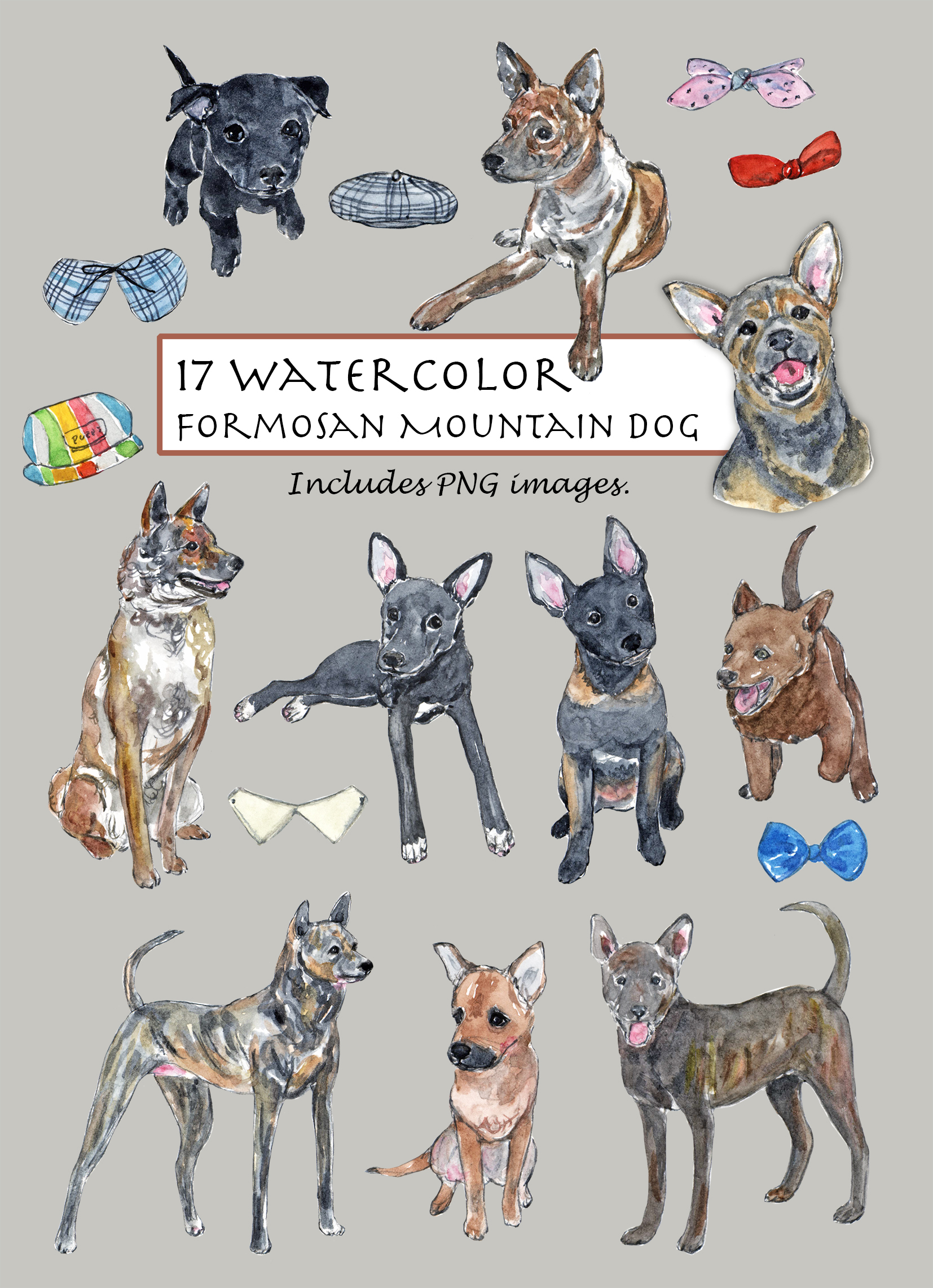 Formosan Mountain Dog Clipart