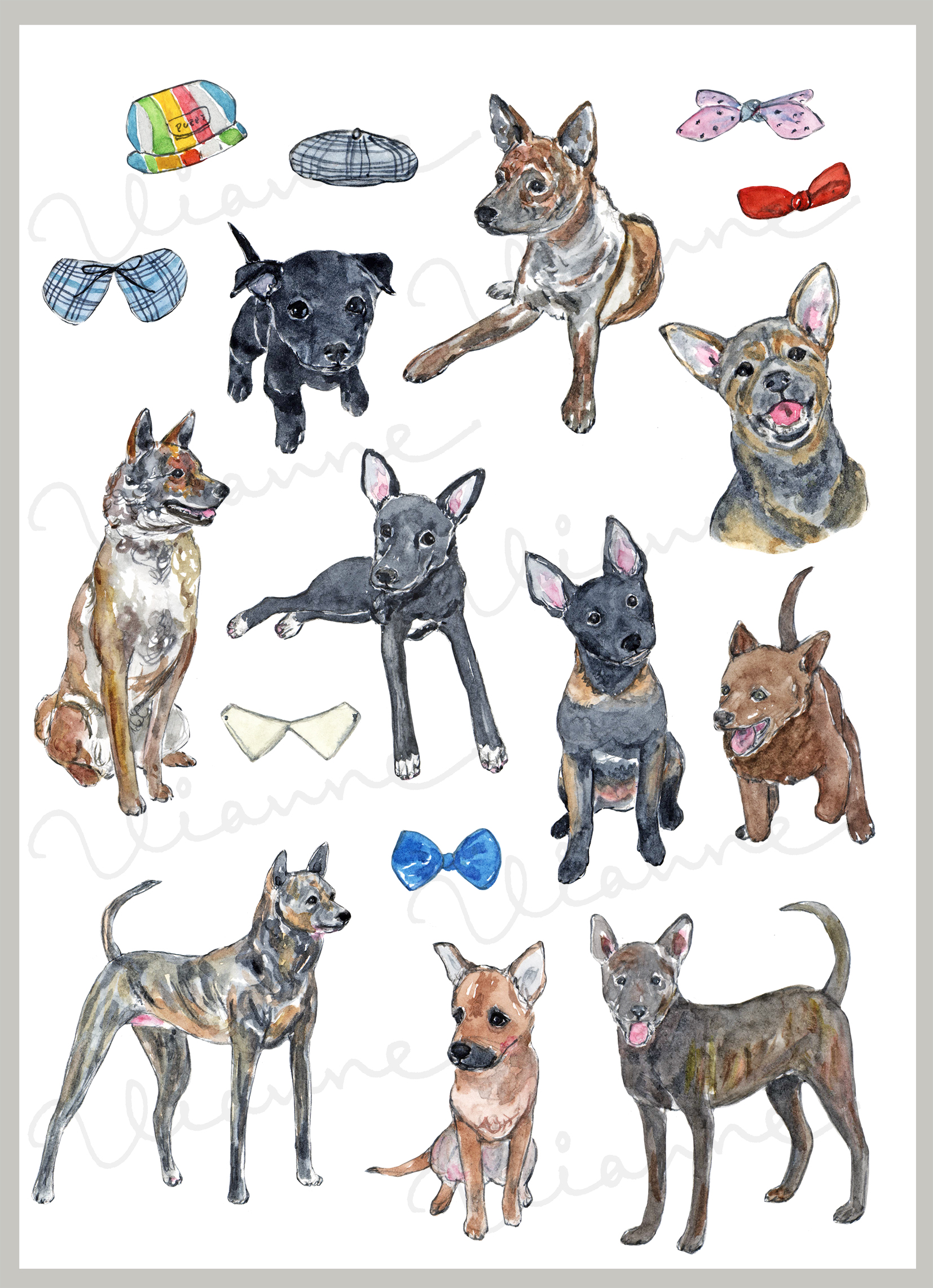 Formosan Mountain Dog Clipart