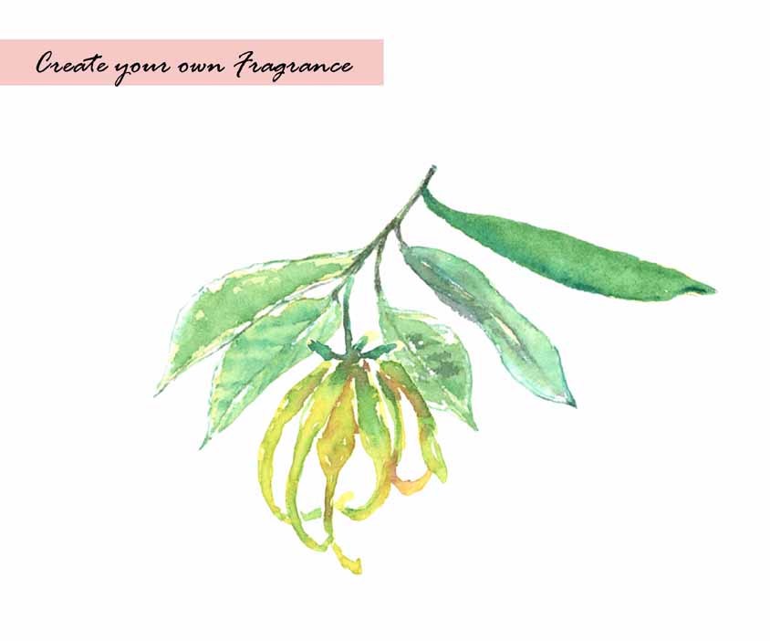 Fragrance Clipart