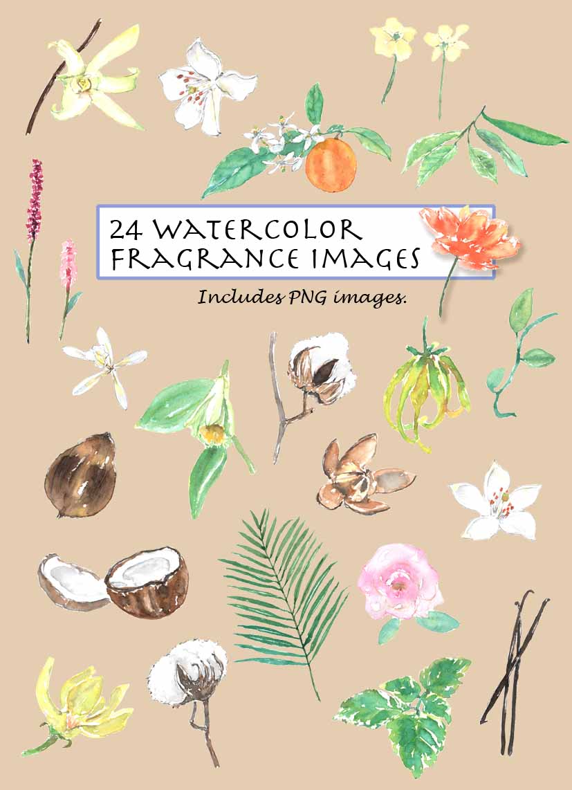 Fragrance Clipart