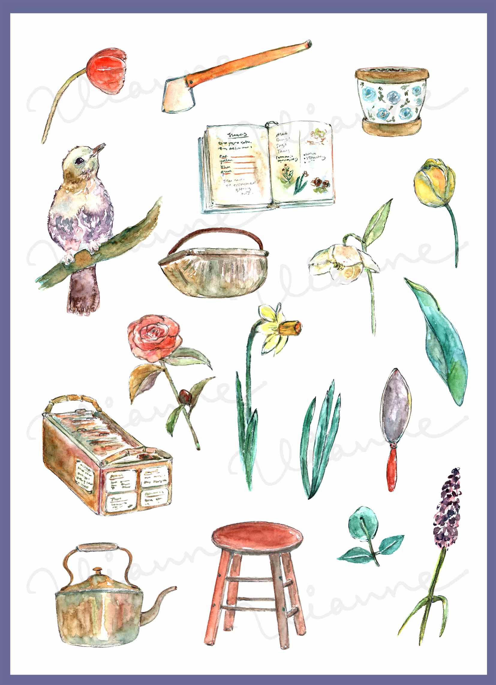 Garden Beauty Clipart
