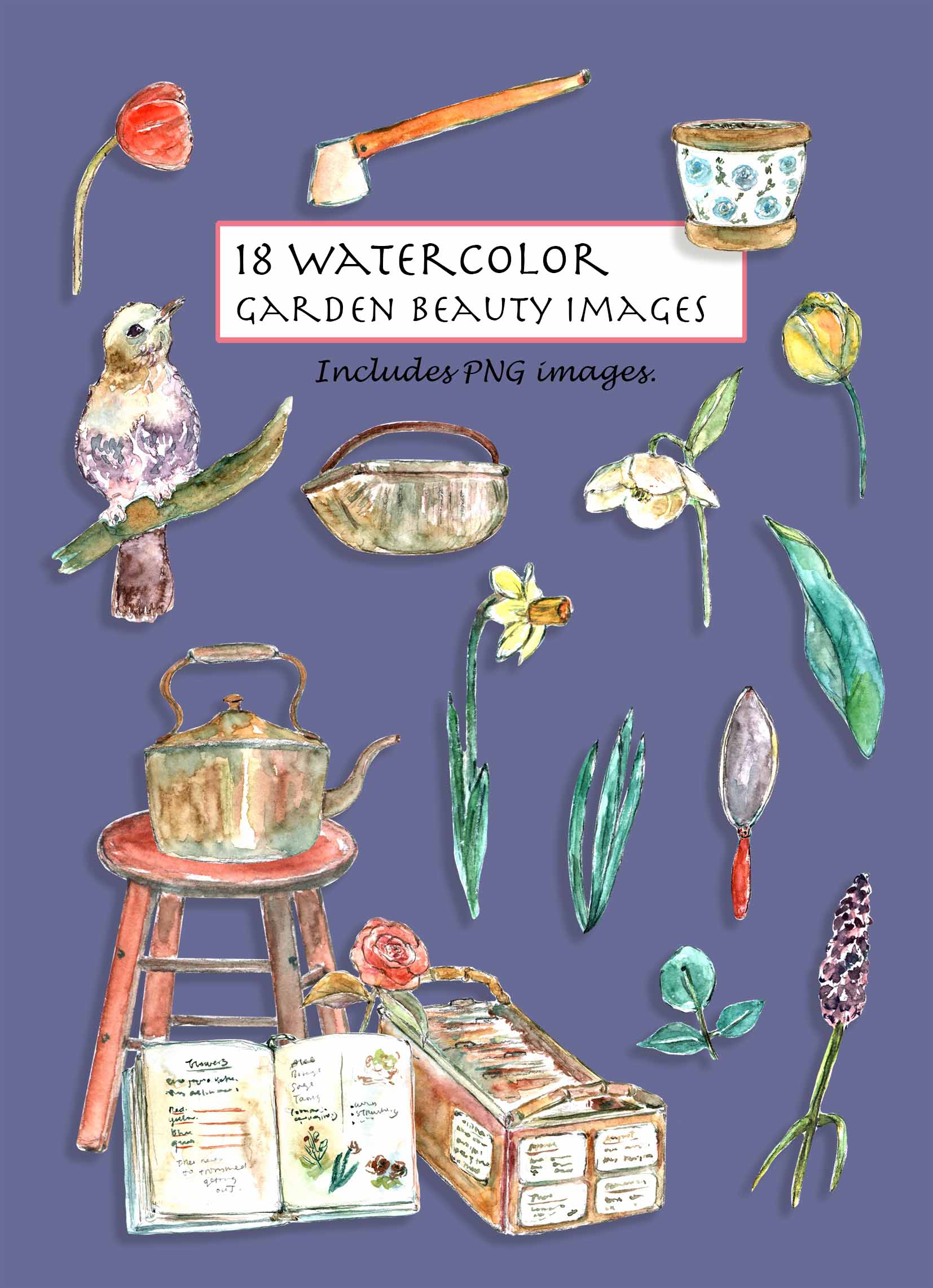 Garden Beauty Clipart