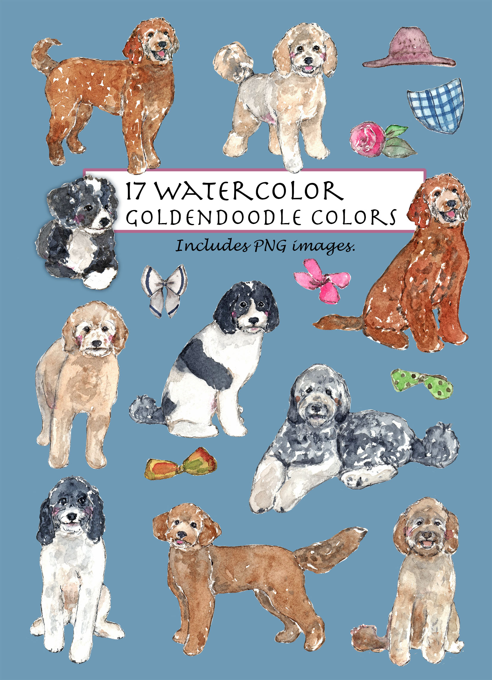Goldendoodle Colors Clipart