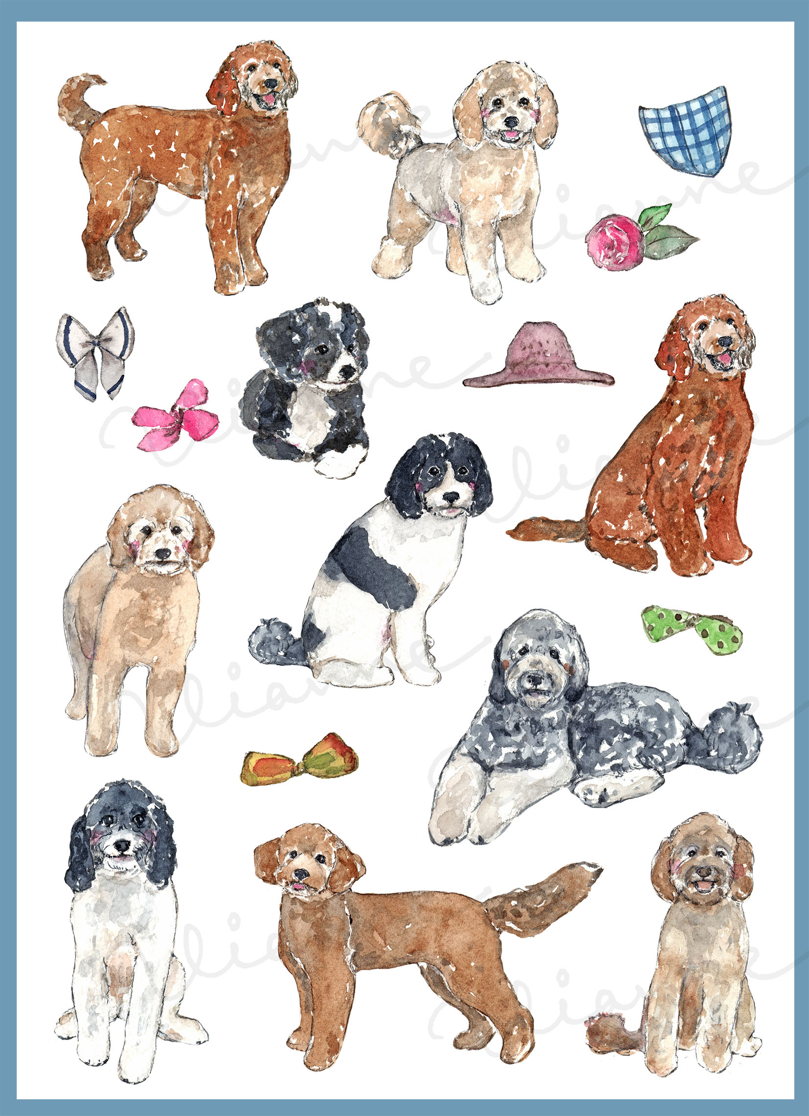 Goldendoodle Colors Clipart