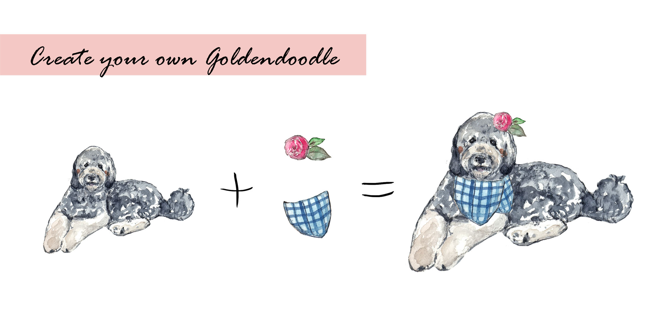Goldendoodle Colors Clipart