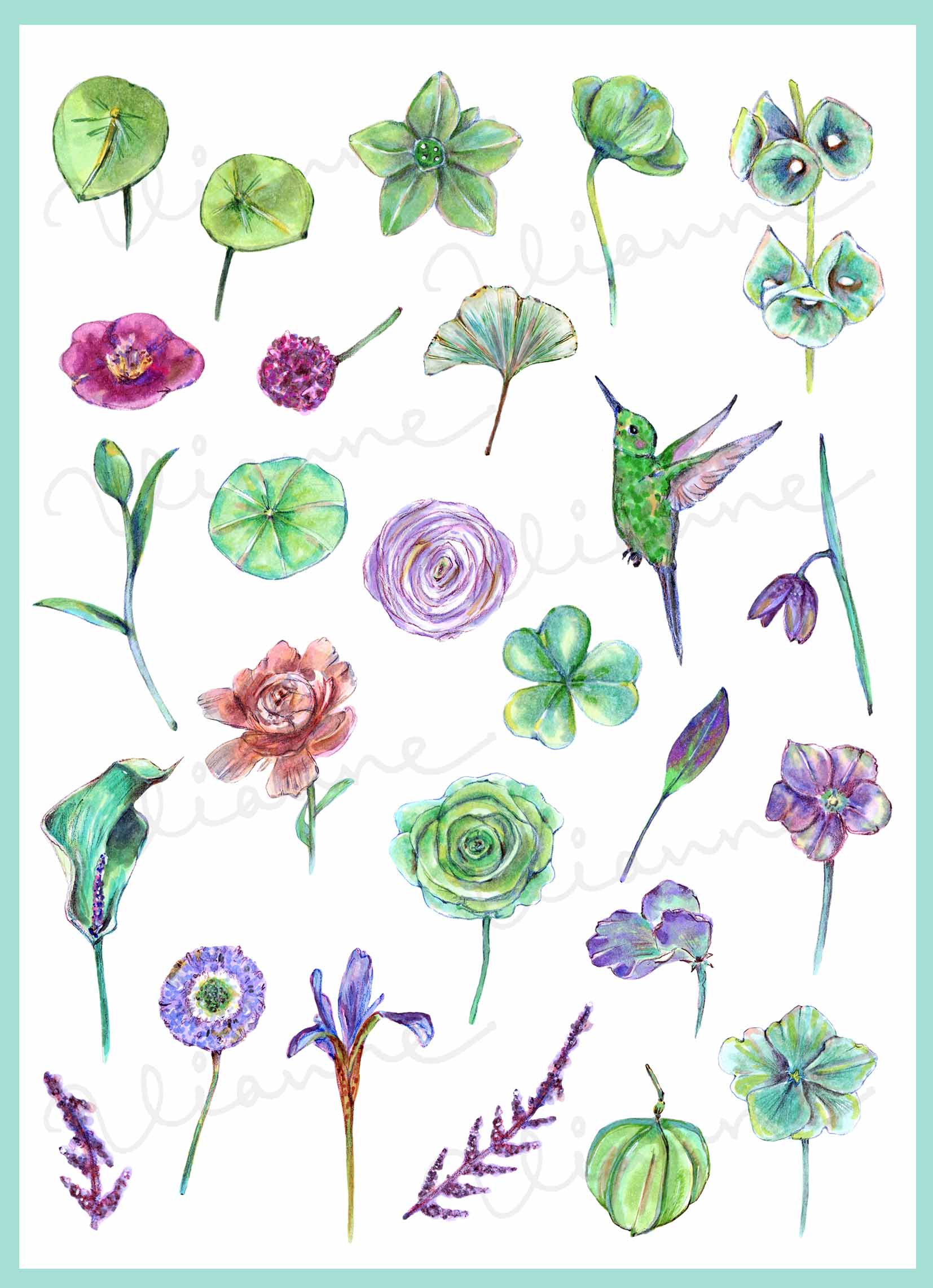 Green & Purple Flora Clipart Set