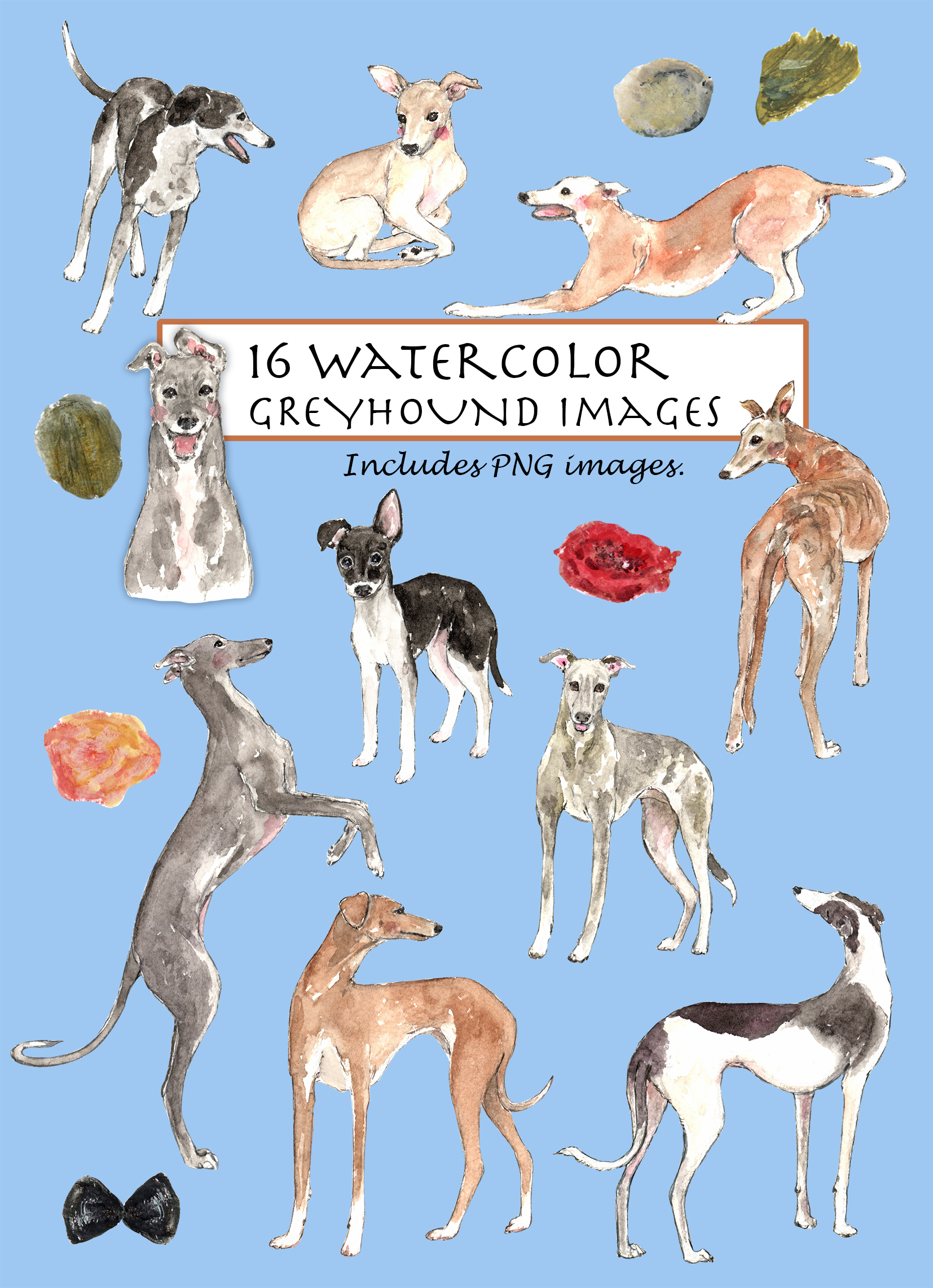 Greyhound Clipart