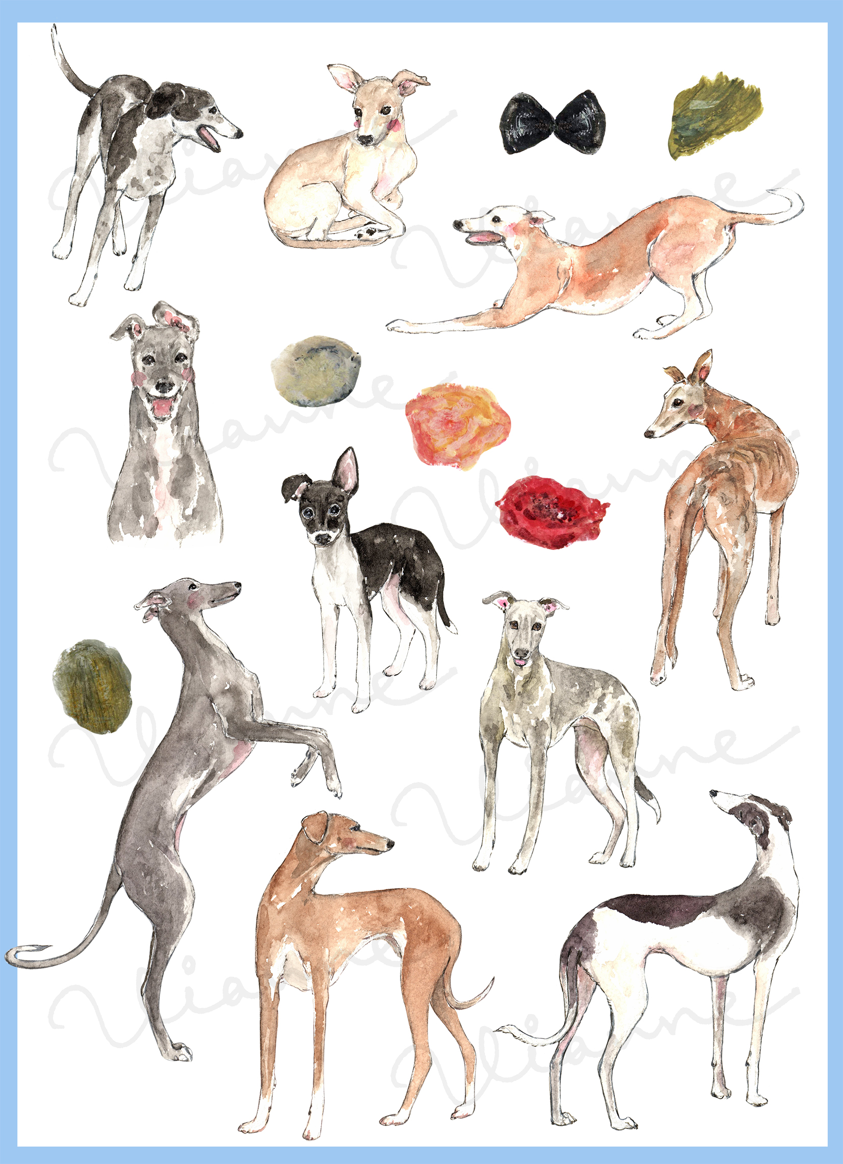 Greyhound Clipart