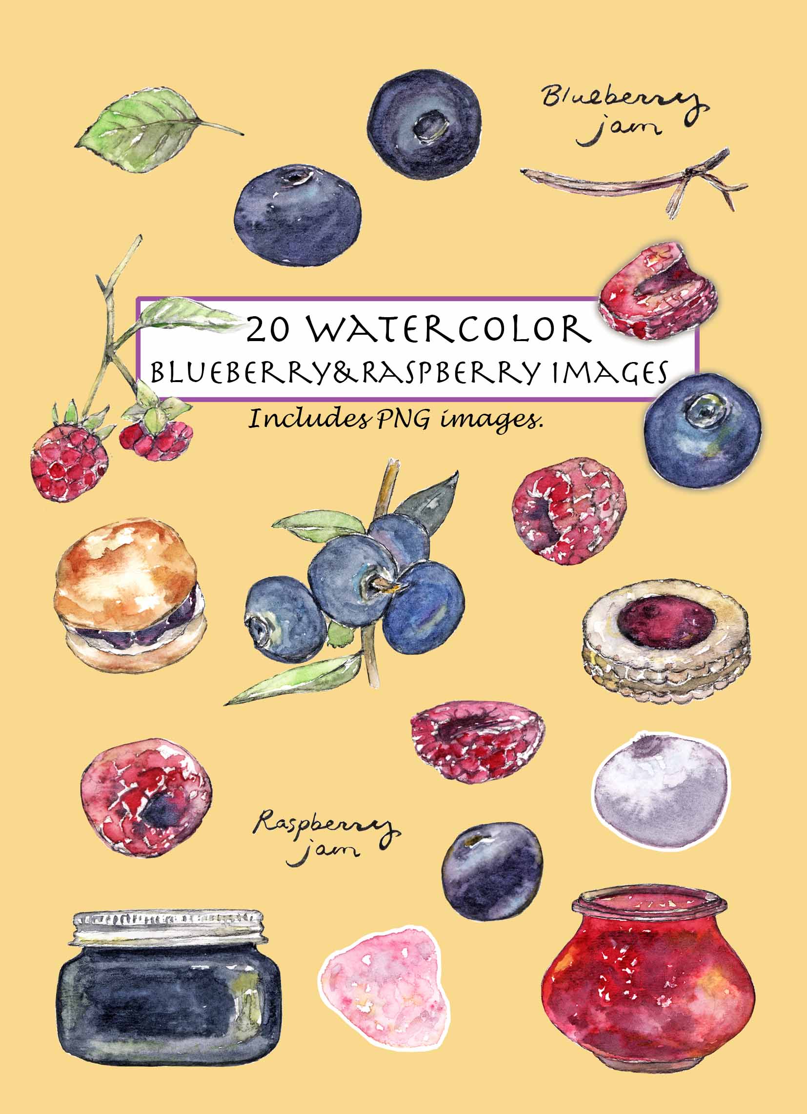 Blueberry & Raspberry Clipart