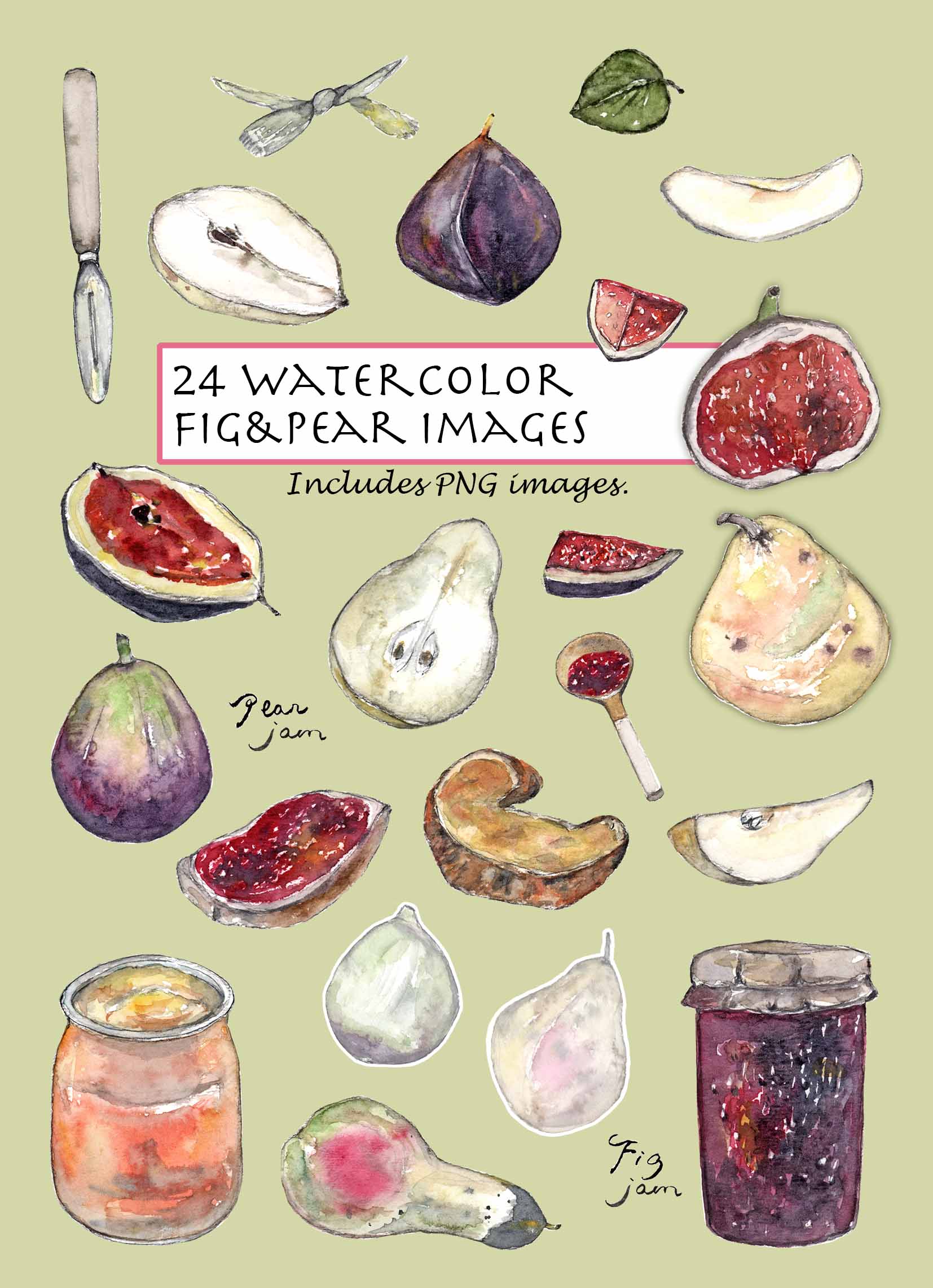 Fig & Pear Clipart