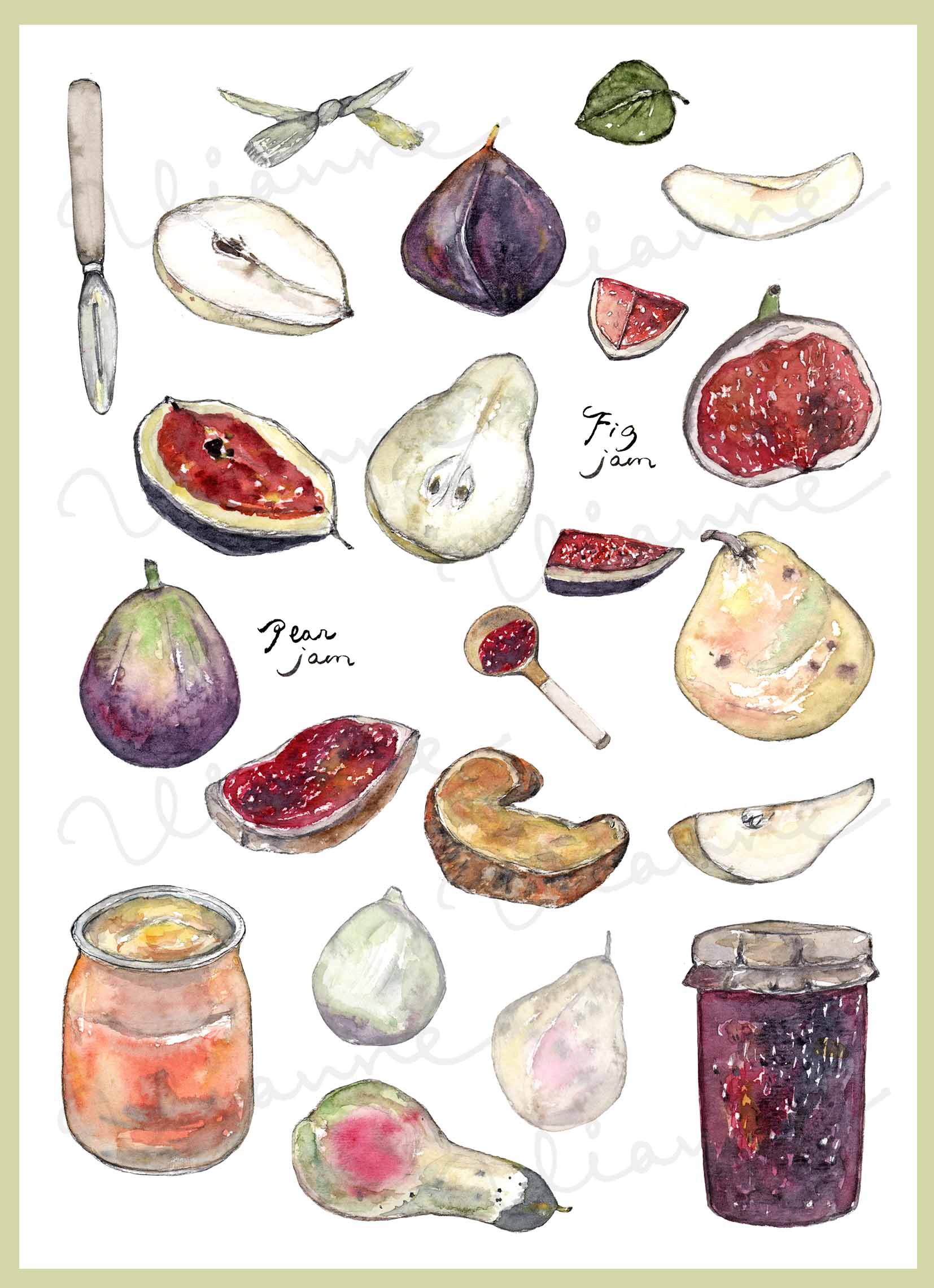 Fig & Pear Clipart