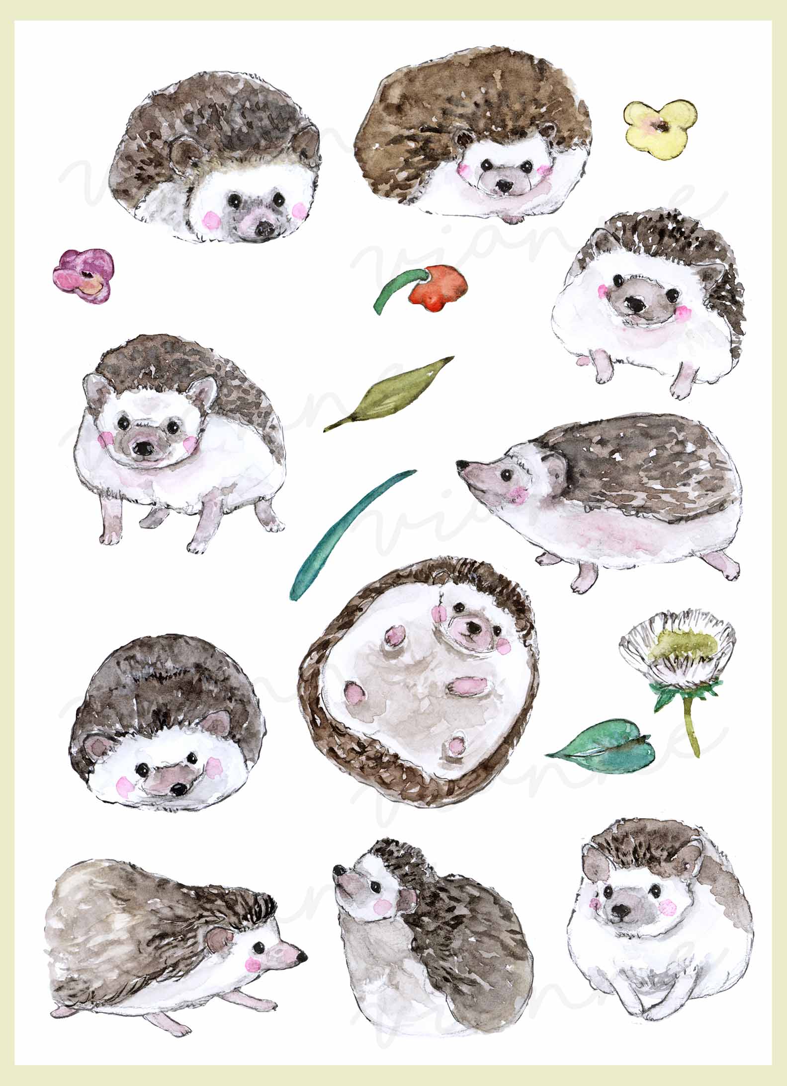 Hedgehog Clipart