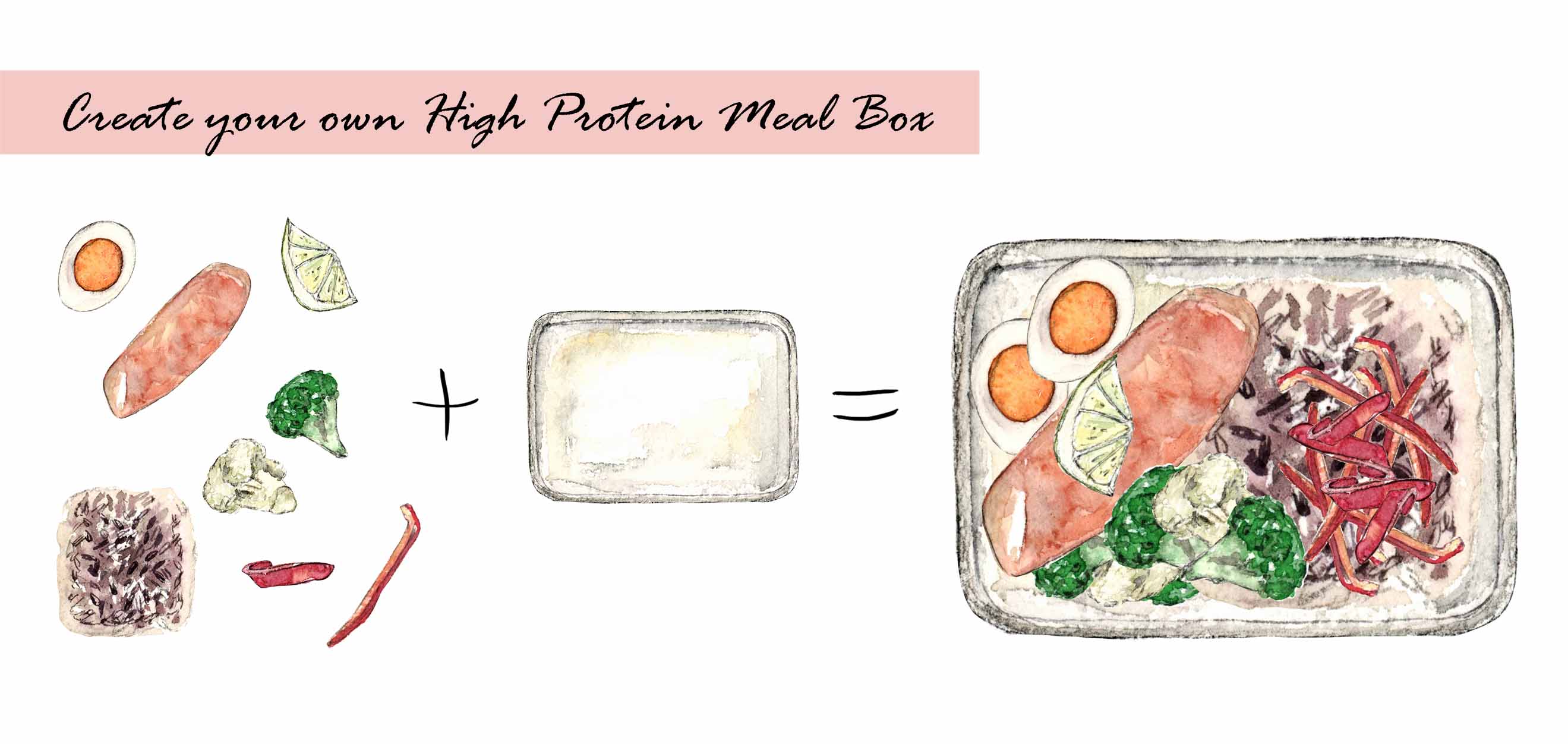 High Protein Food Clipart