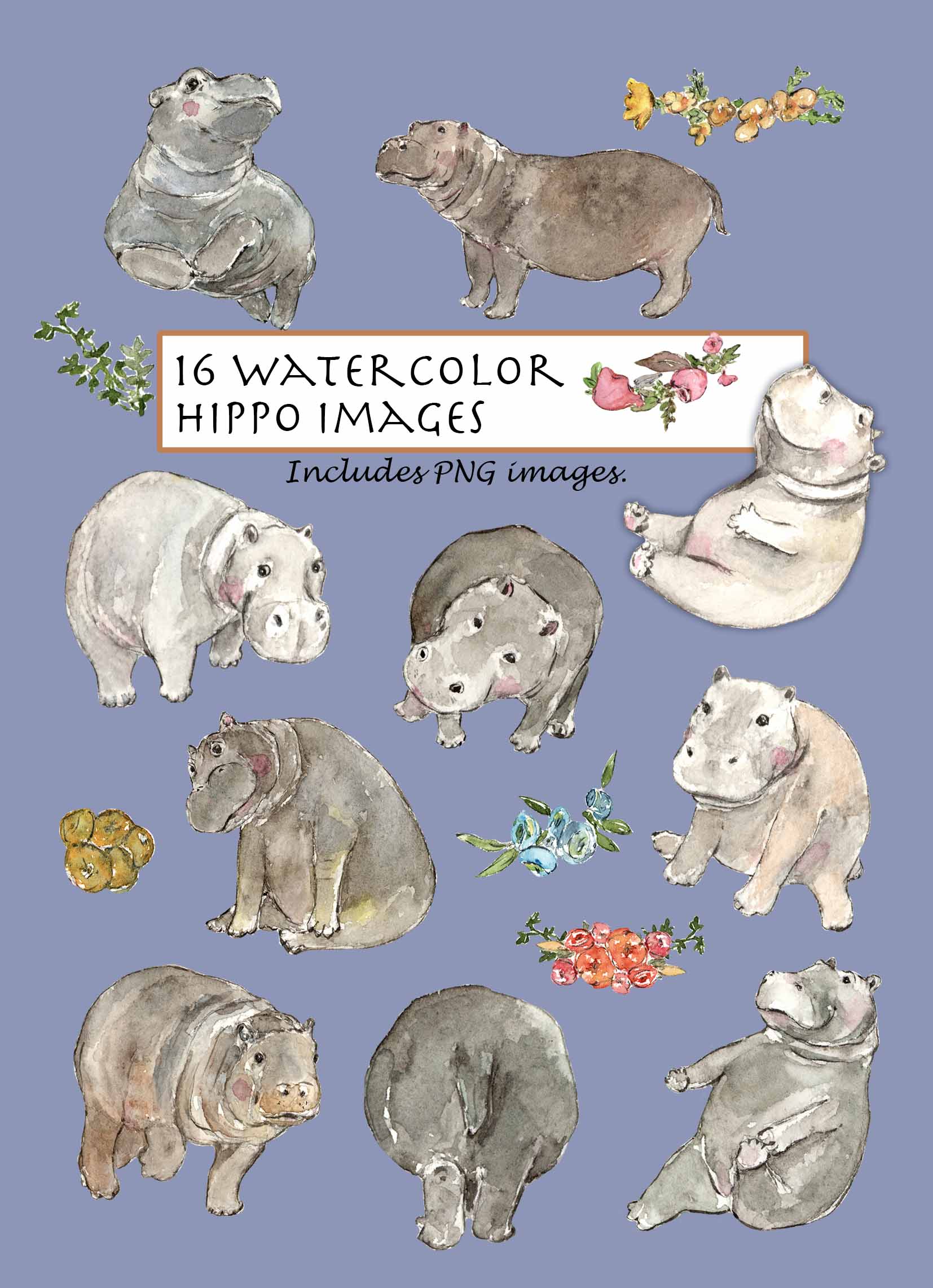 Watercolor Hippo Clipart Set