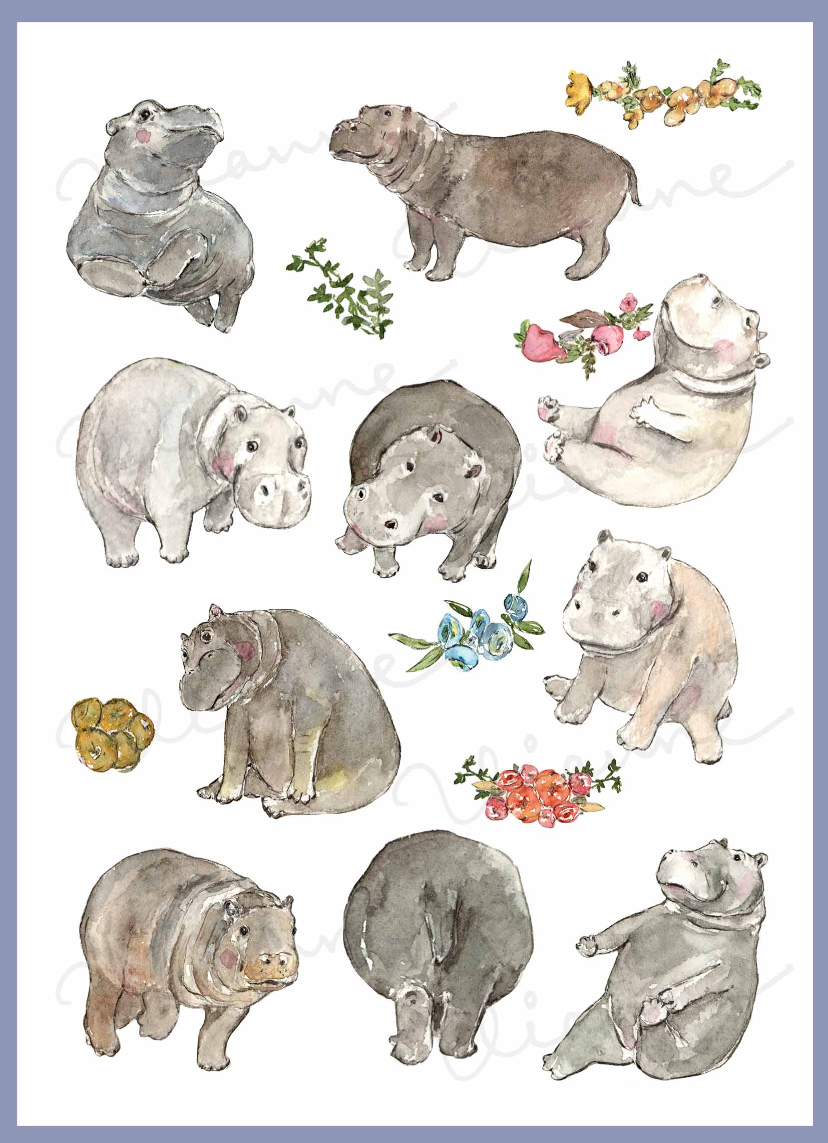 Watercolor Hippo Clipart Set