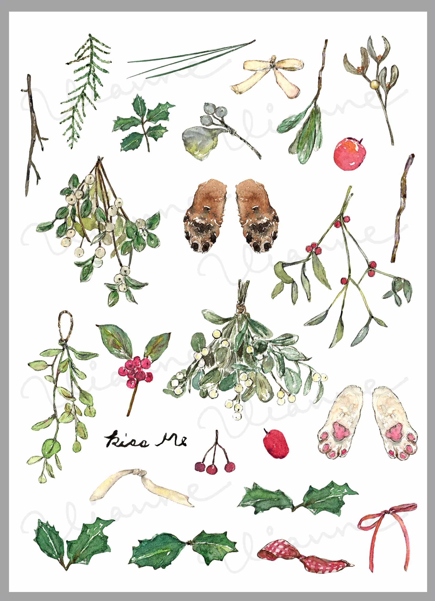Watercolor Mistletoe Clipart Set