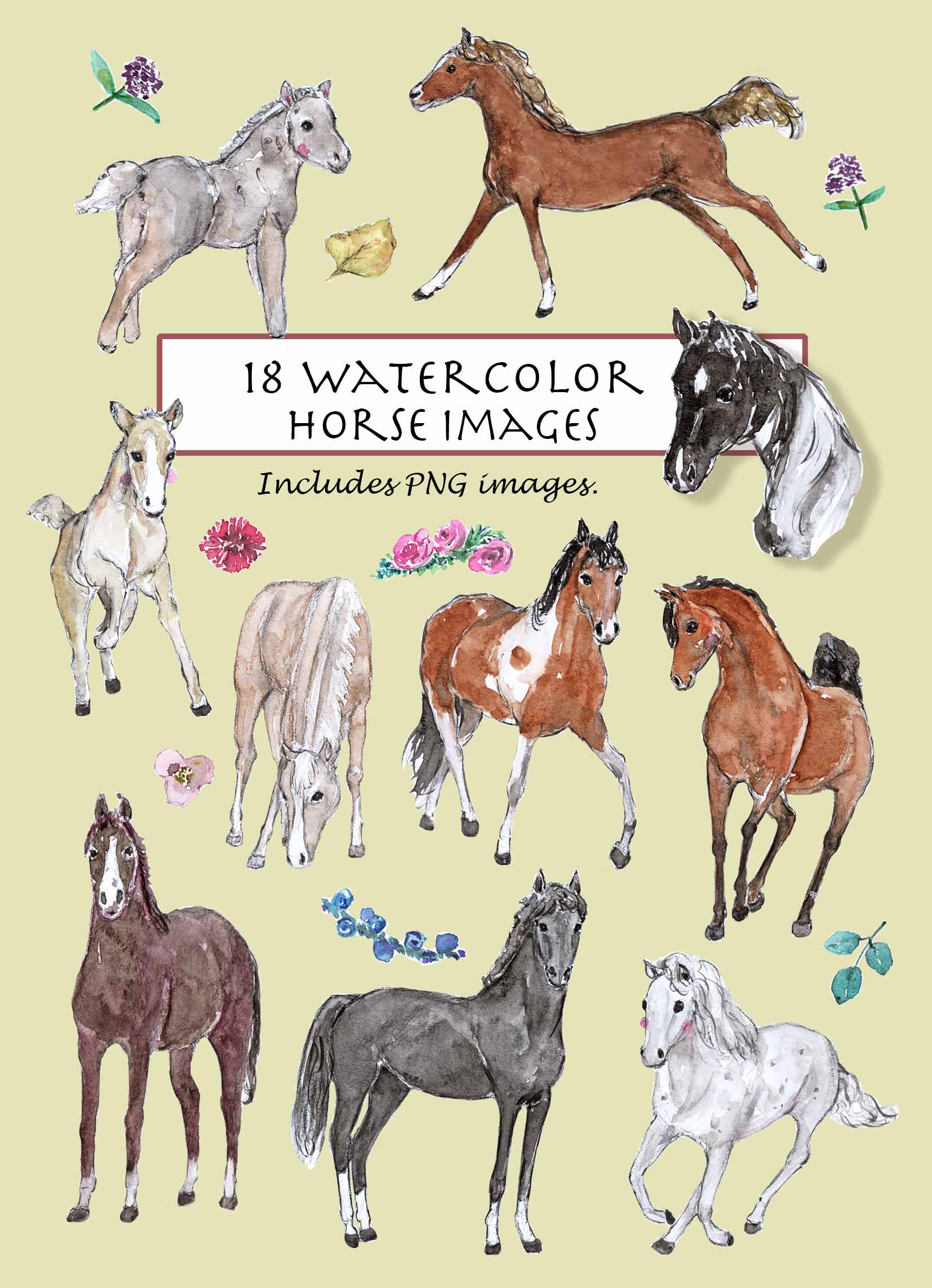 Horse Clipart Set